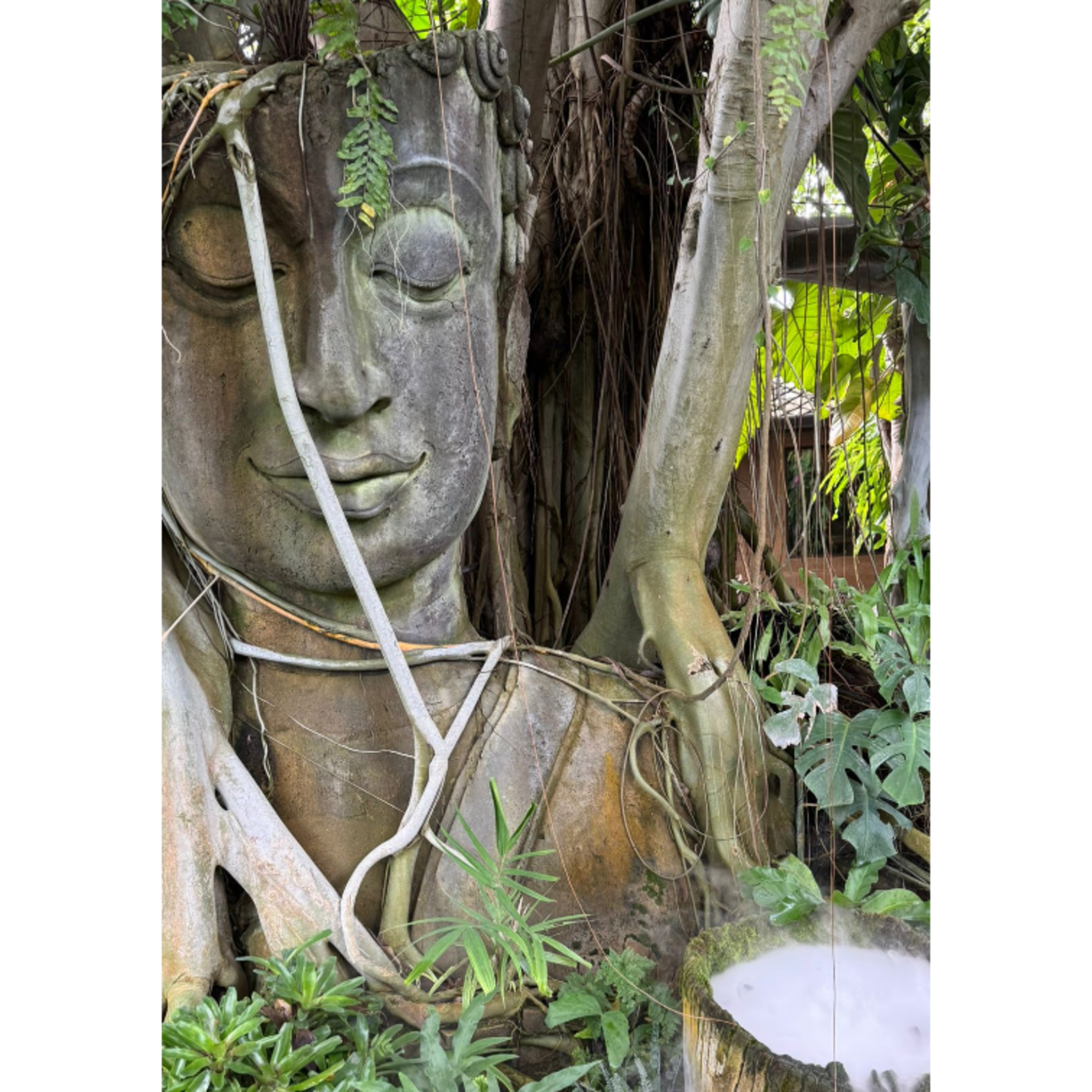 Die Welt vor meiner Haustür ❤️🧡💛