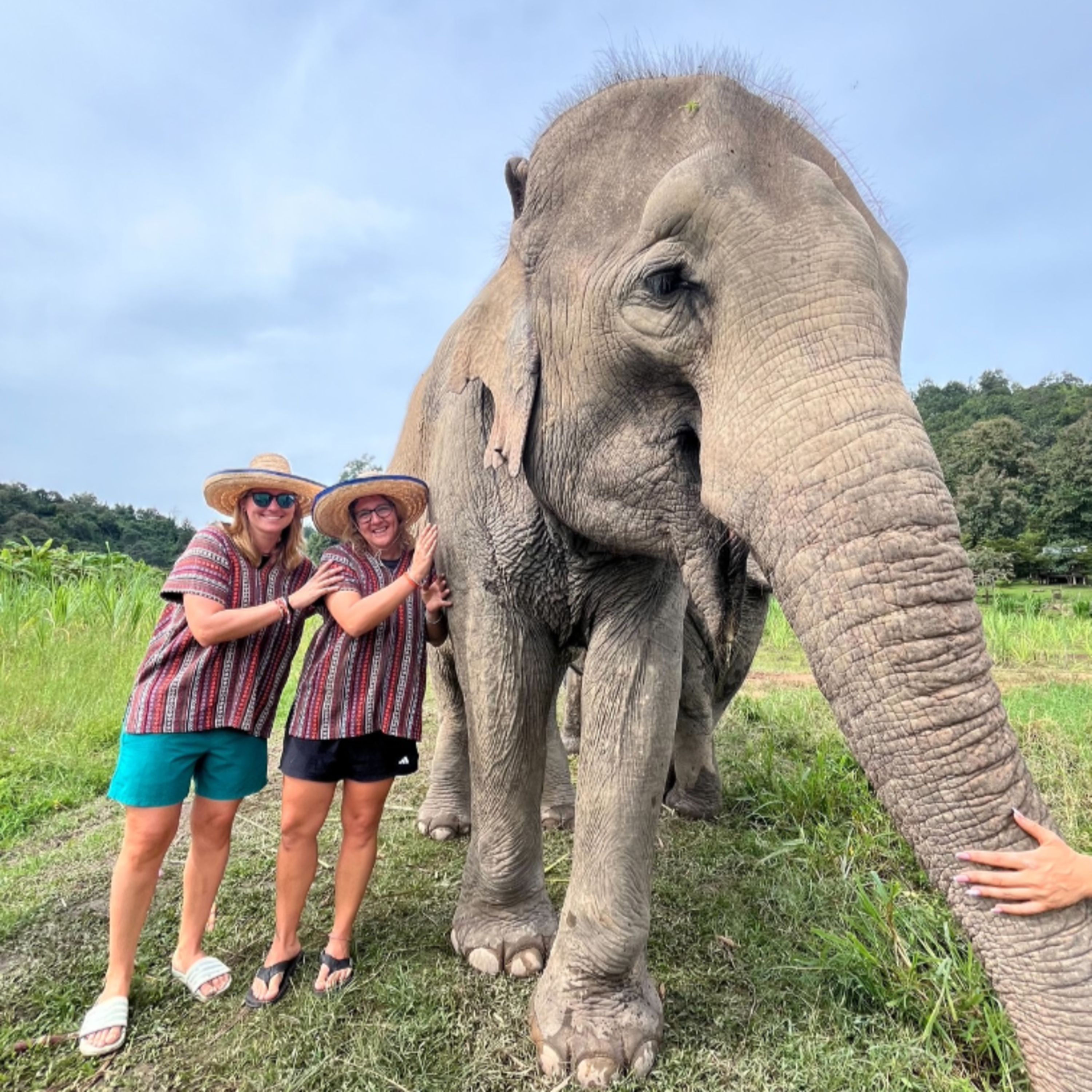 Die Welt vor meiner Haustür ❤️🧡💛