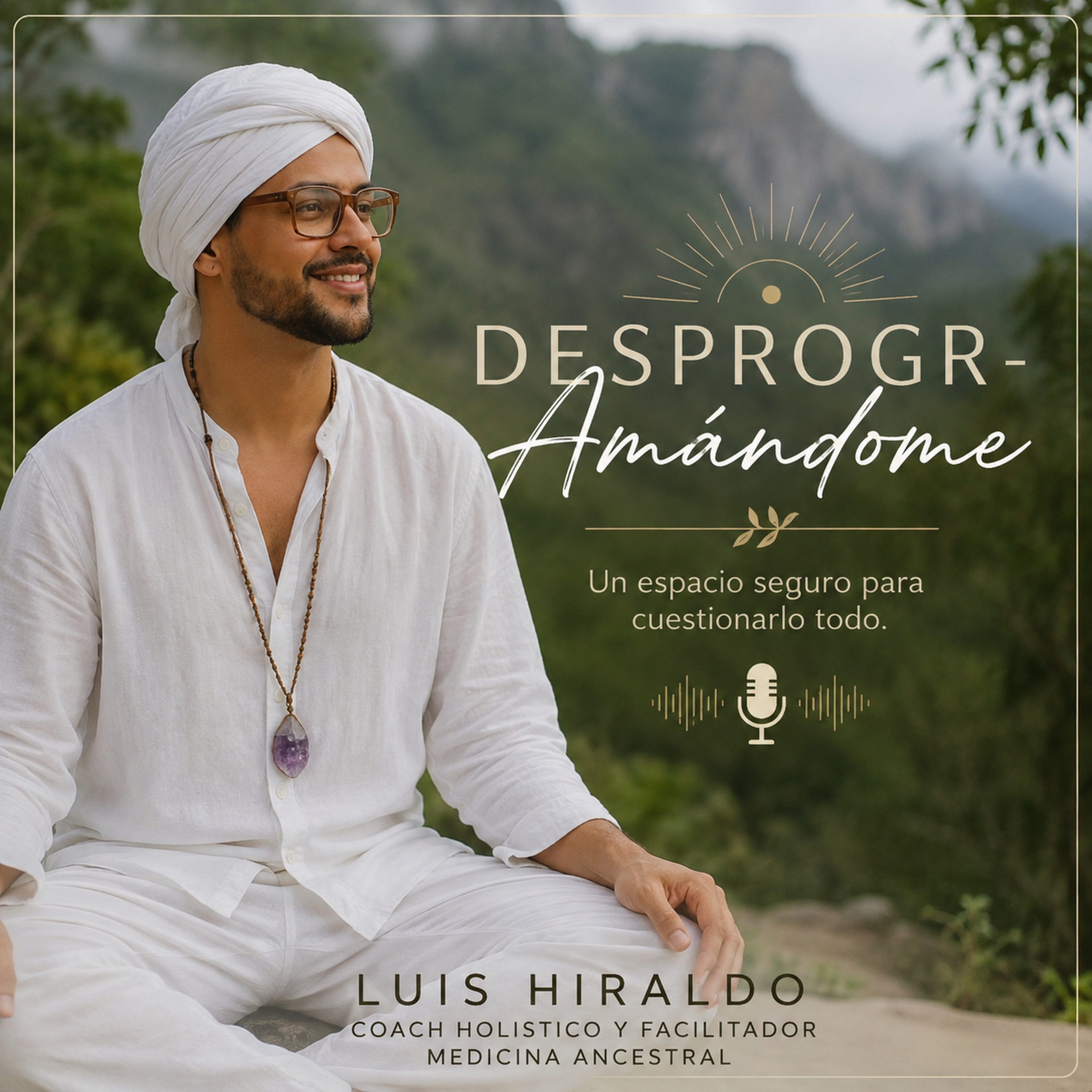 Portada de DESPROGRA- AMÁNDOME