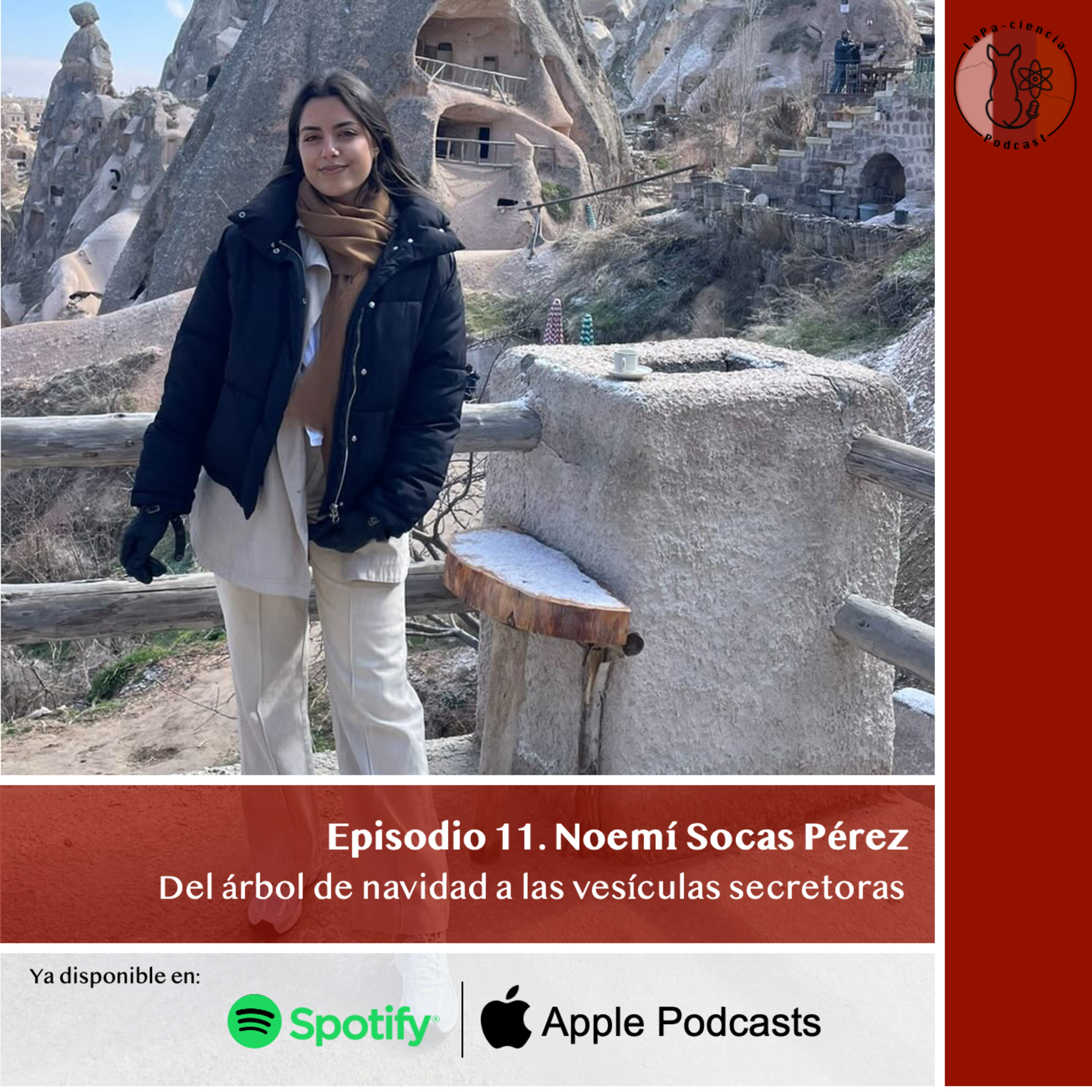 Episodio 11. Noemí Socas Pérez: Del árbol de Navidad a las vesículas secretoras. episode artwork