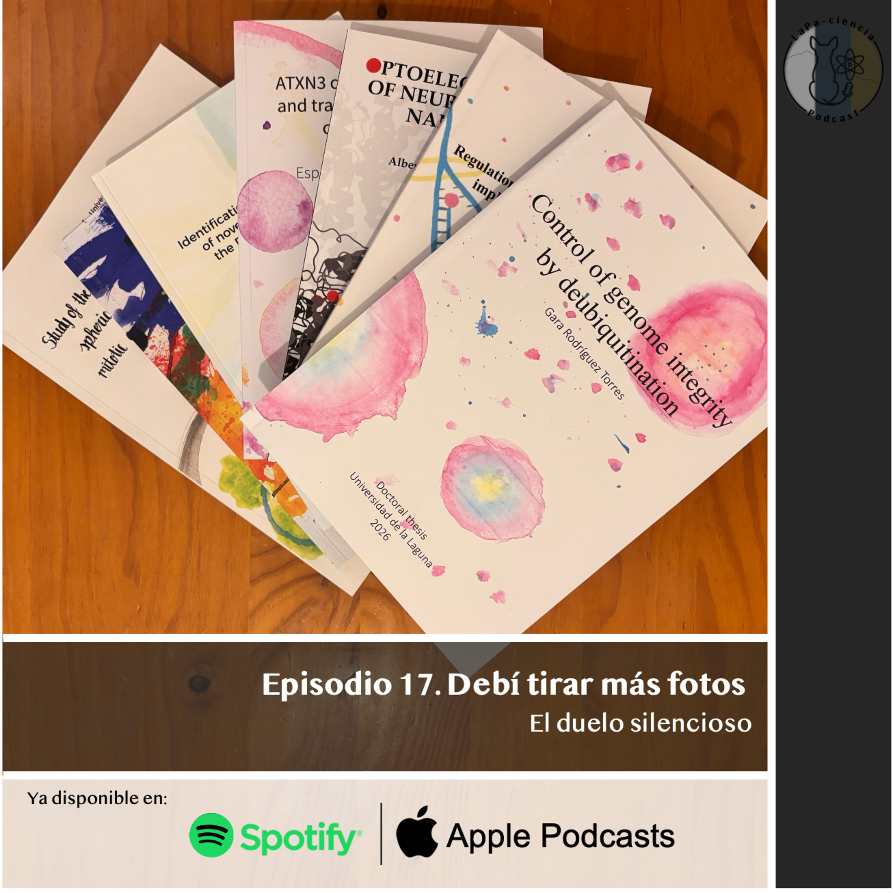 Episodio 17. Debí tirar más fotos: El duelo silencioso. episode artwork