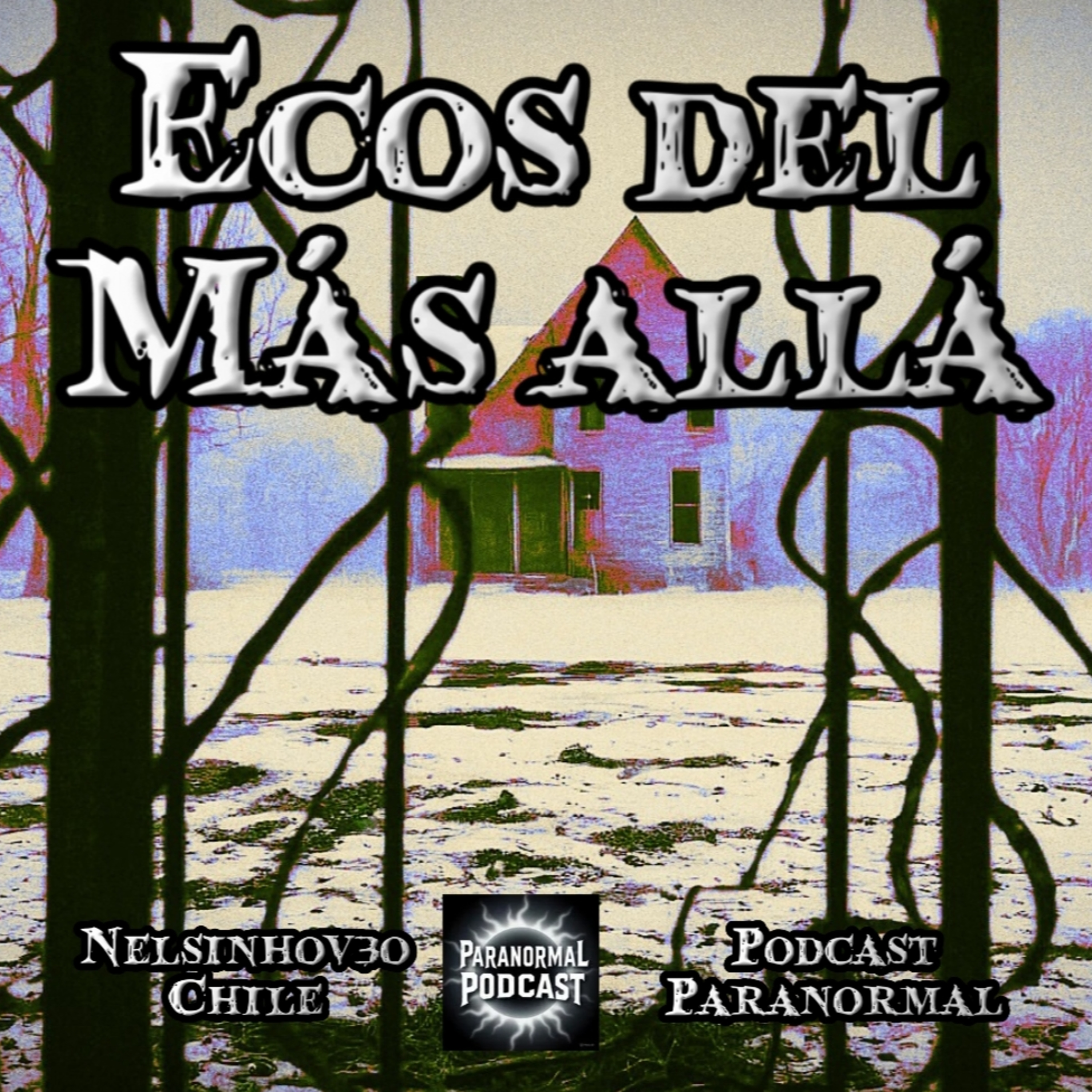 El Guardián Silente: Fenómeno Paranormal en el Hospital Rivadavia, Buenos Aires, 2023 episode artwork
