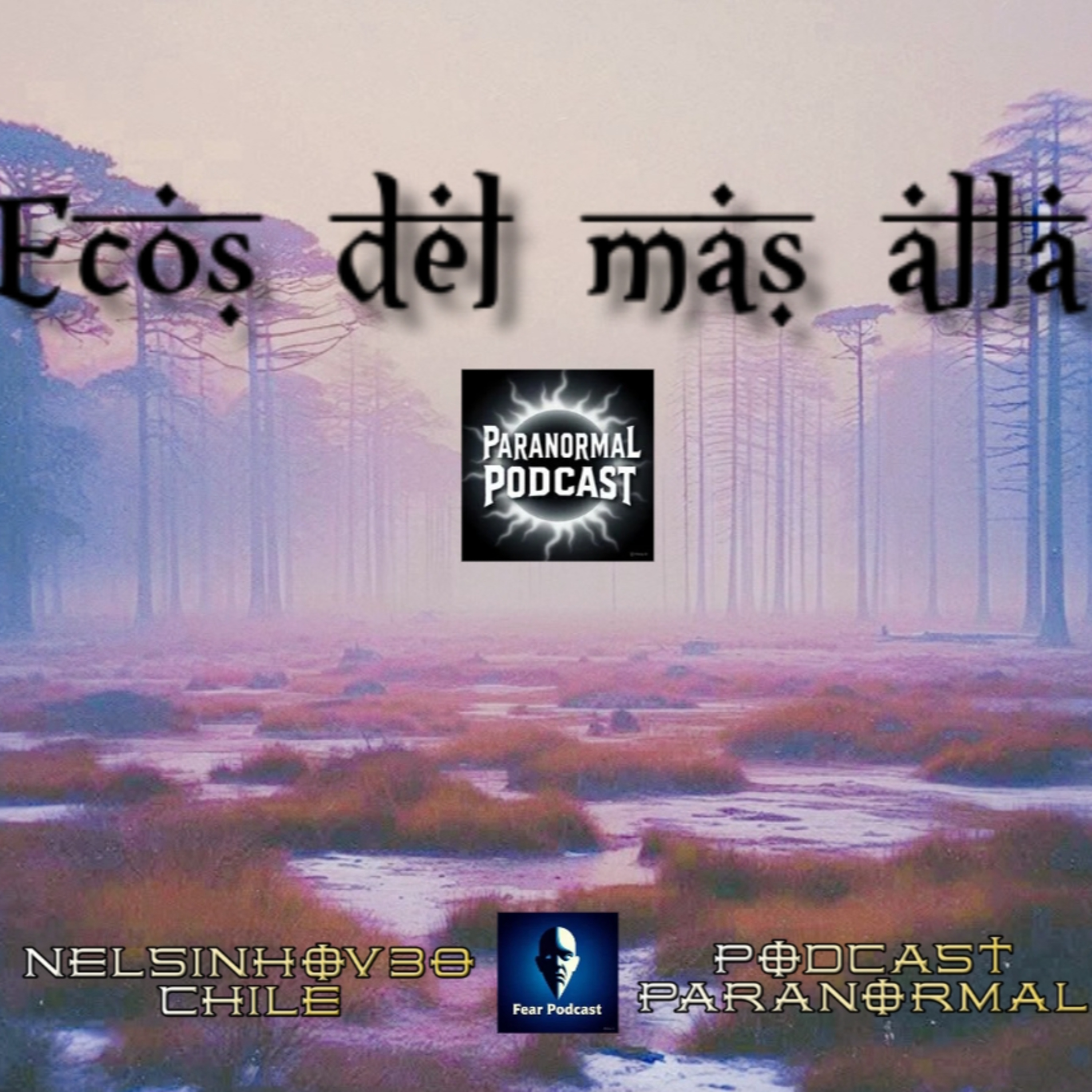 El Guardián de las Sombras en el Hospital Muñiz: Misterio y Esperanza en Buenos Aires episode artwork