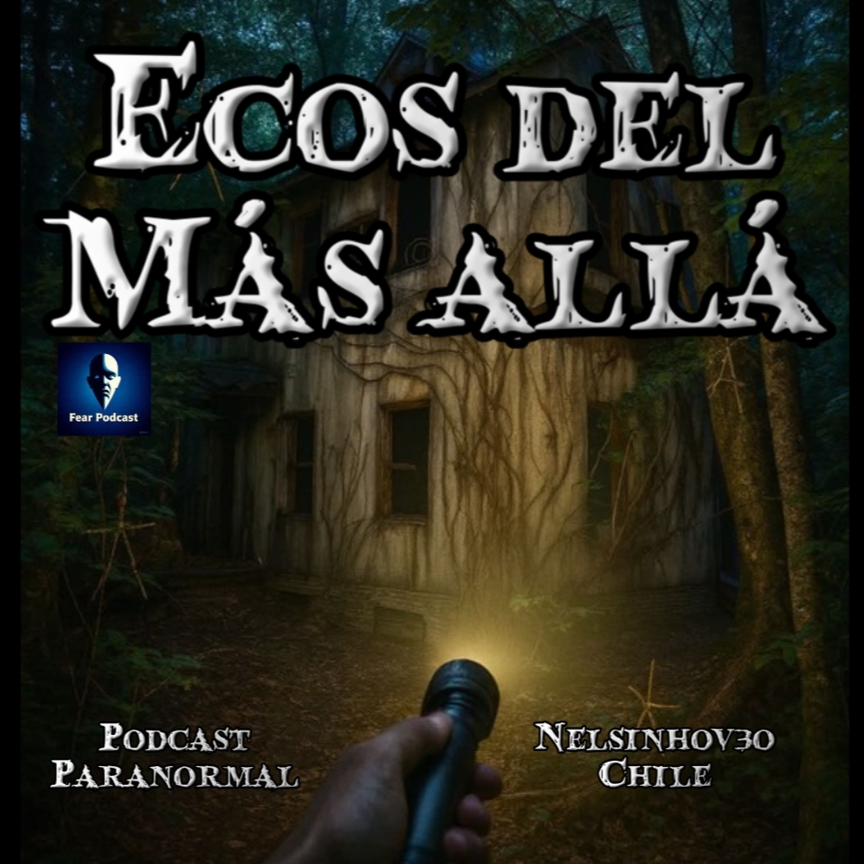 El Misterio del Piloto Ricardo Vargas en el Sur de Chile, 2024 episode artwork