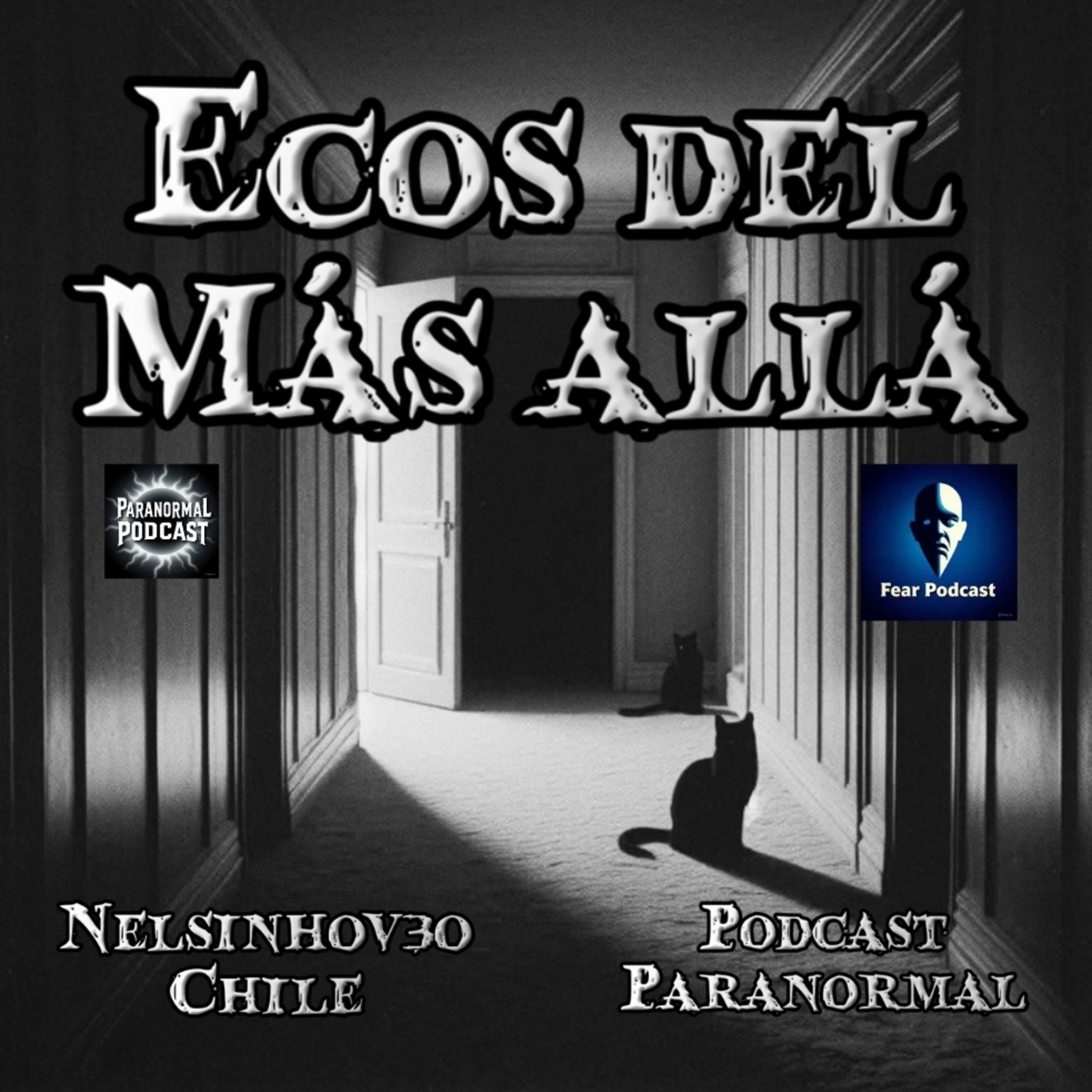 ¿Encuentro de puño y letra? Cita con el diario - cuentos de terror