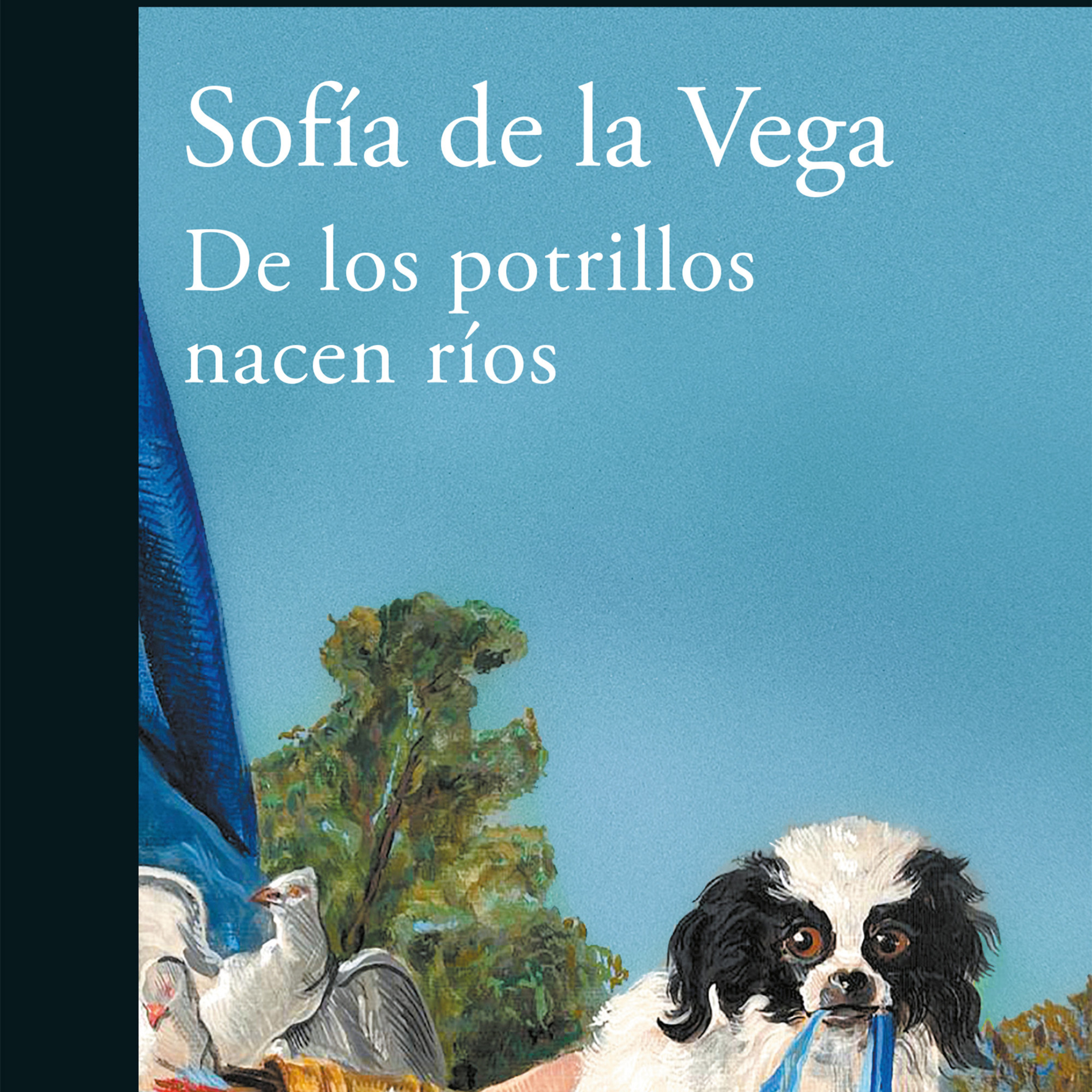 Sofía de la Vega sobre su libro de cuentos "De los potrillos nacen ríos"