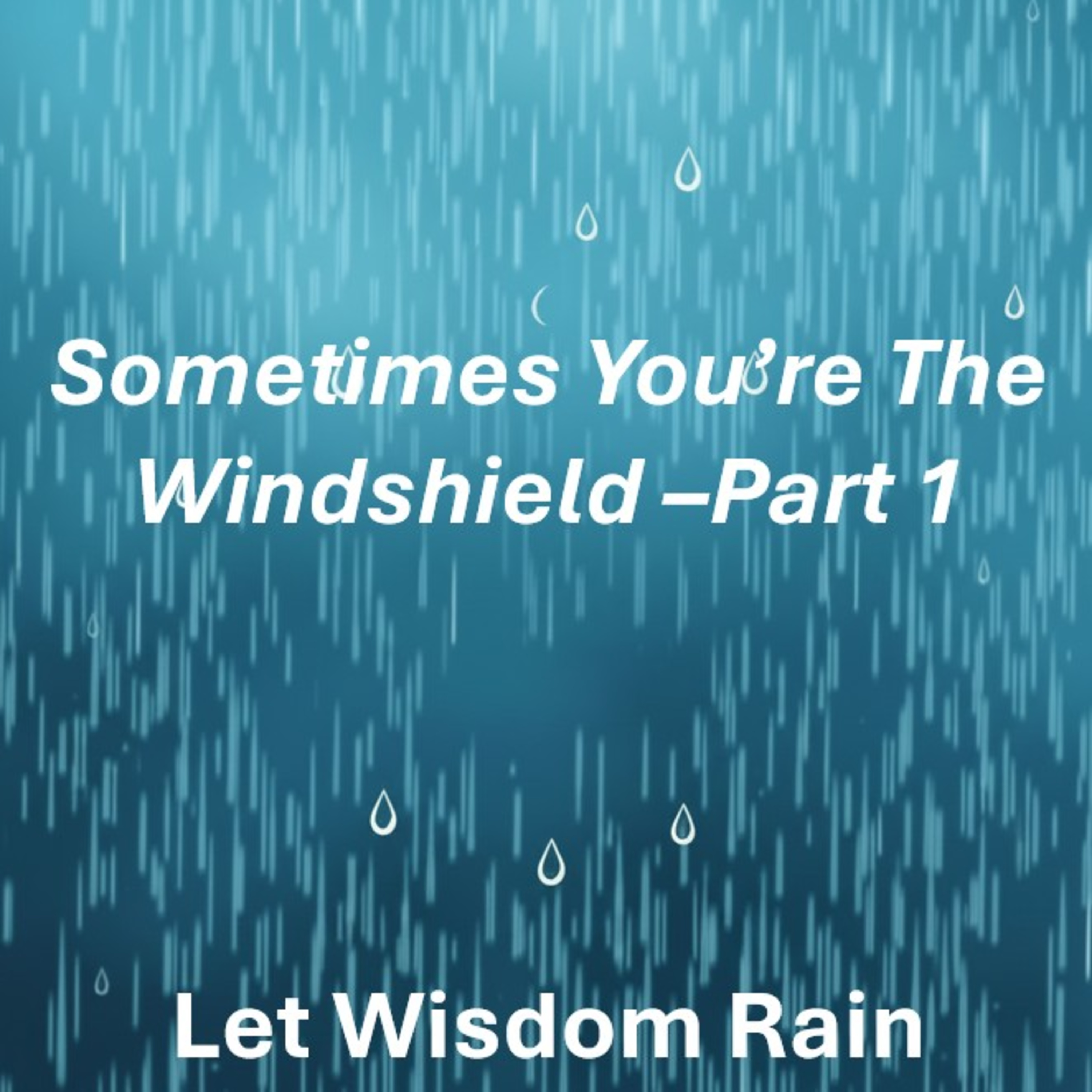 Sometimes You're The Windshield Part 1 episode artwork