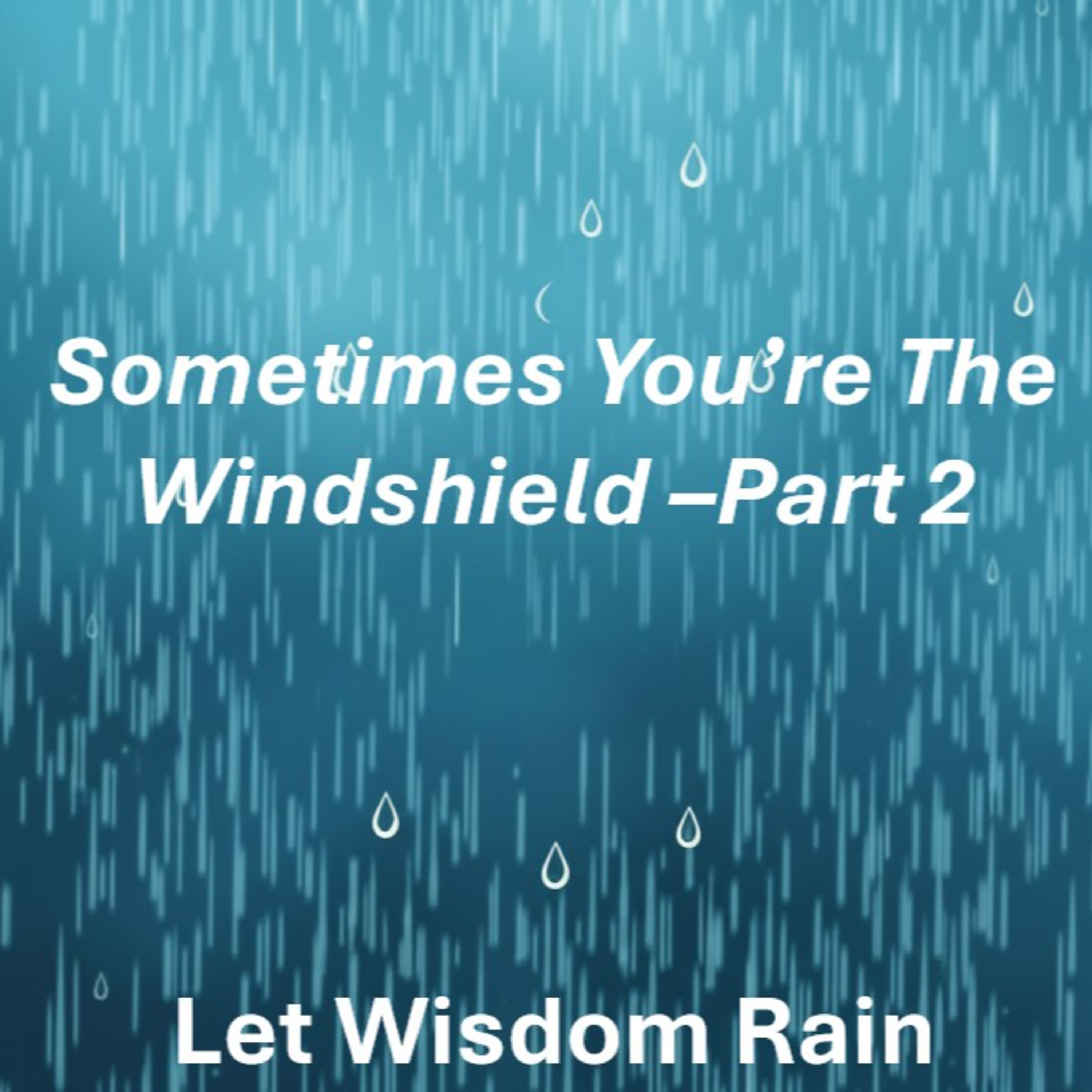 Sometimes You’re The Windshield –Part 2 episode artwork