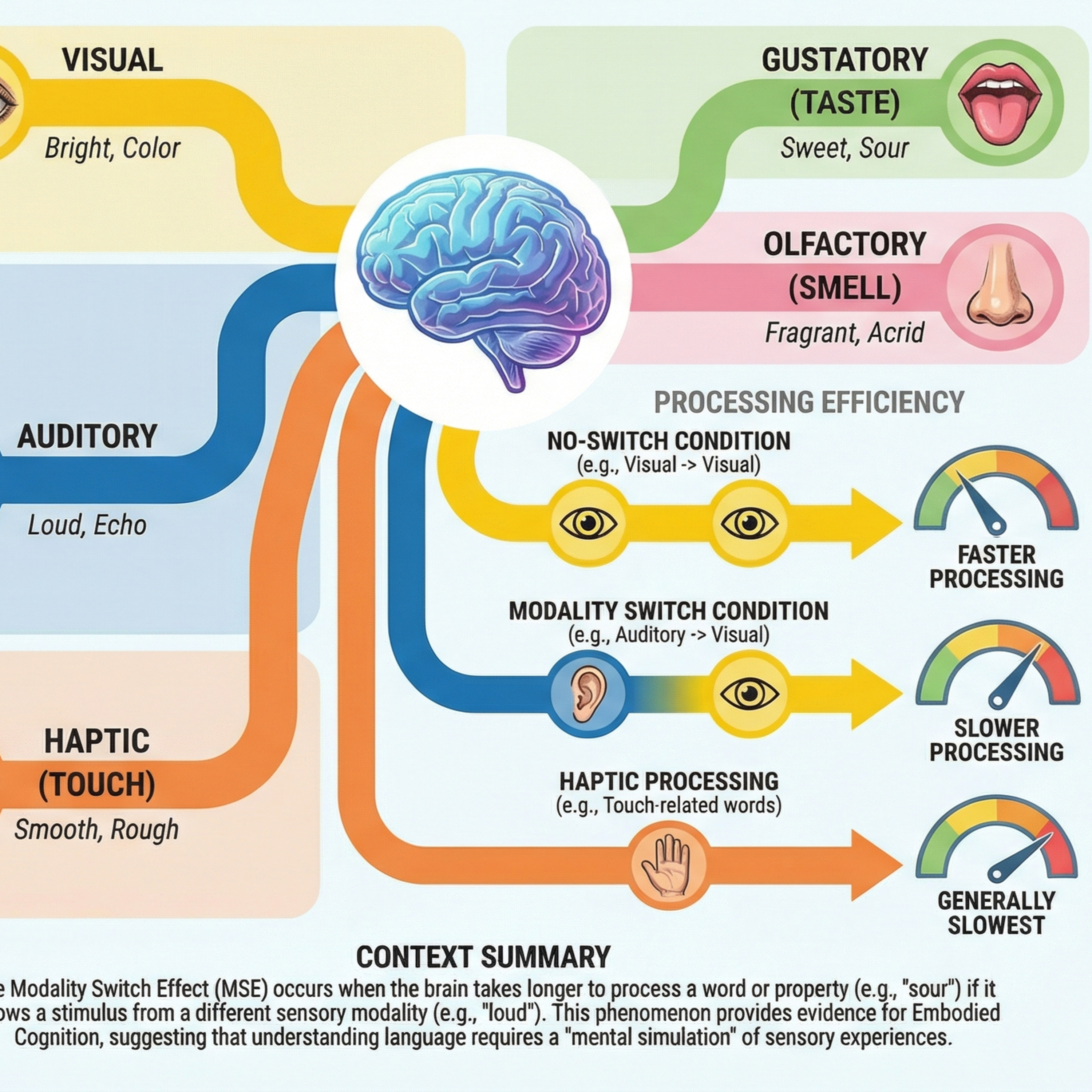 Codex Mentis: Science and technology to study cognition