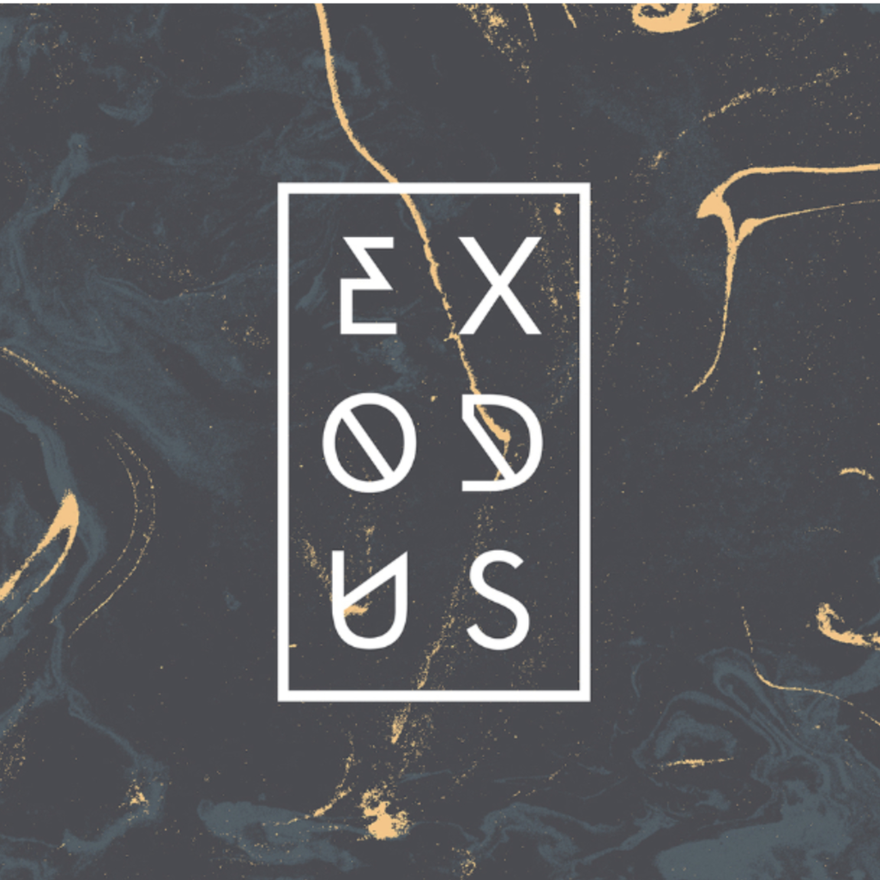 Exodus 1:8-22: Redemption in the Midst of Darkness episode artwork