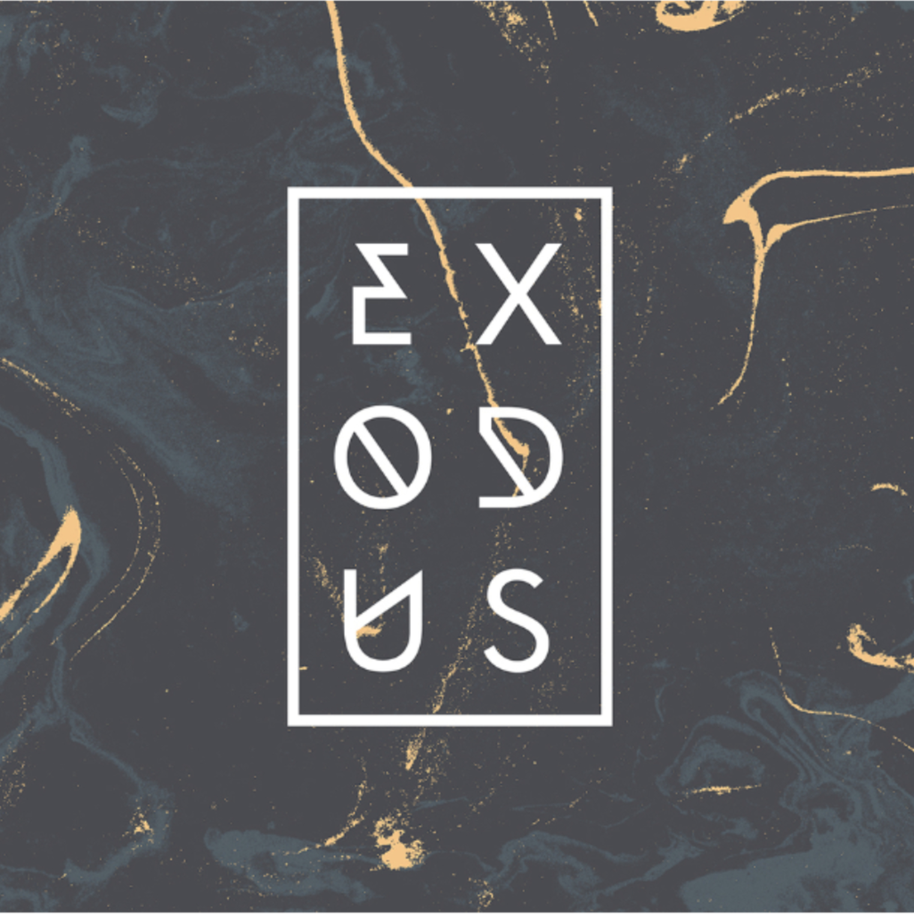 Exodus 2:23-25: God Sees and Knows episode artwork
