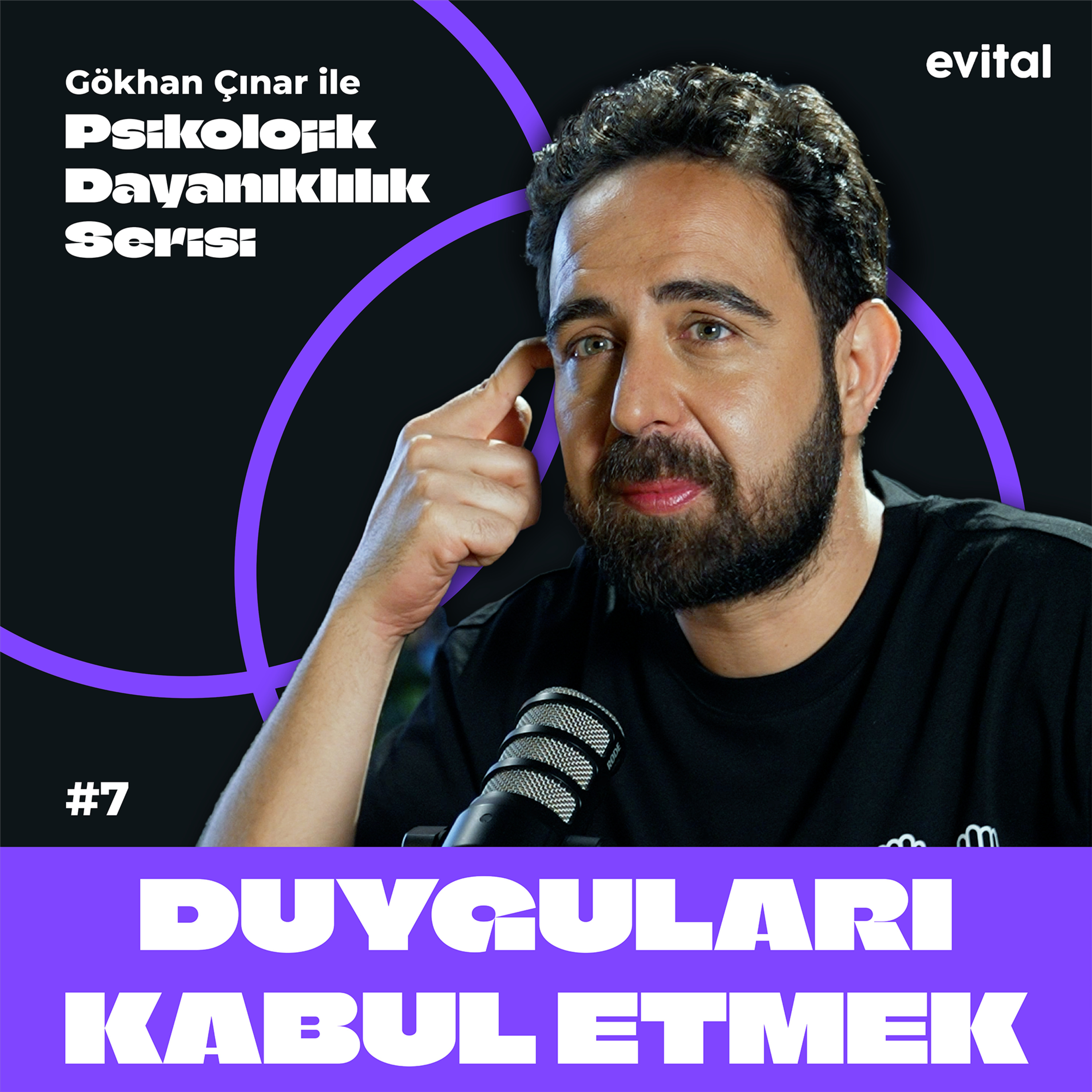 Duyguları Kabul Etmek