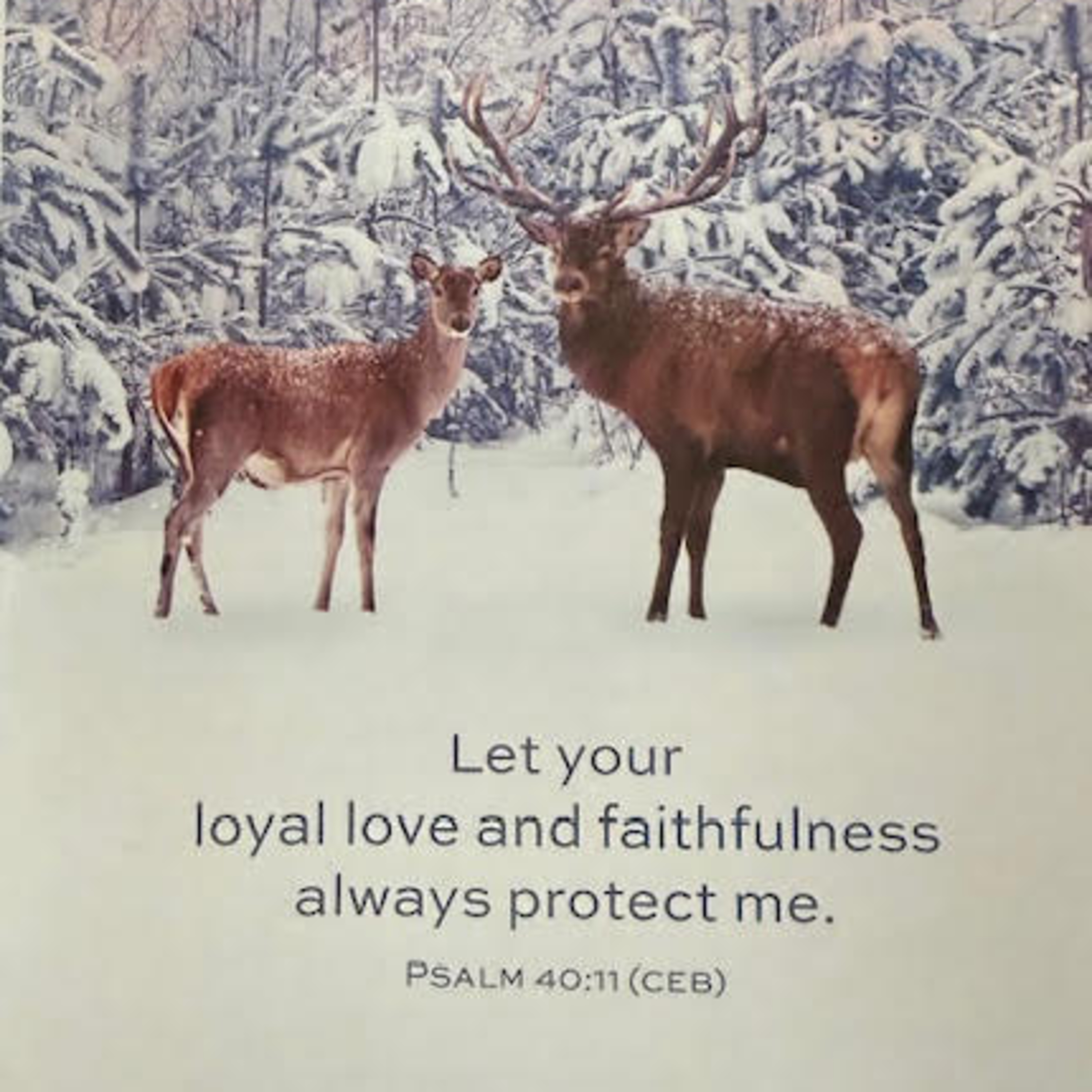 Utica Christian Church DOC