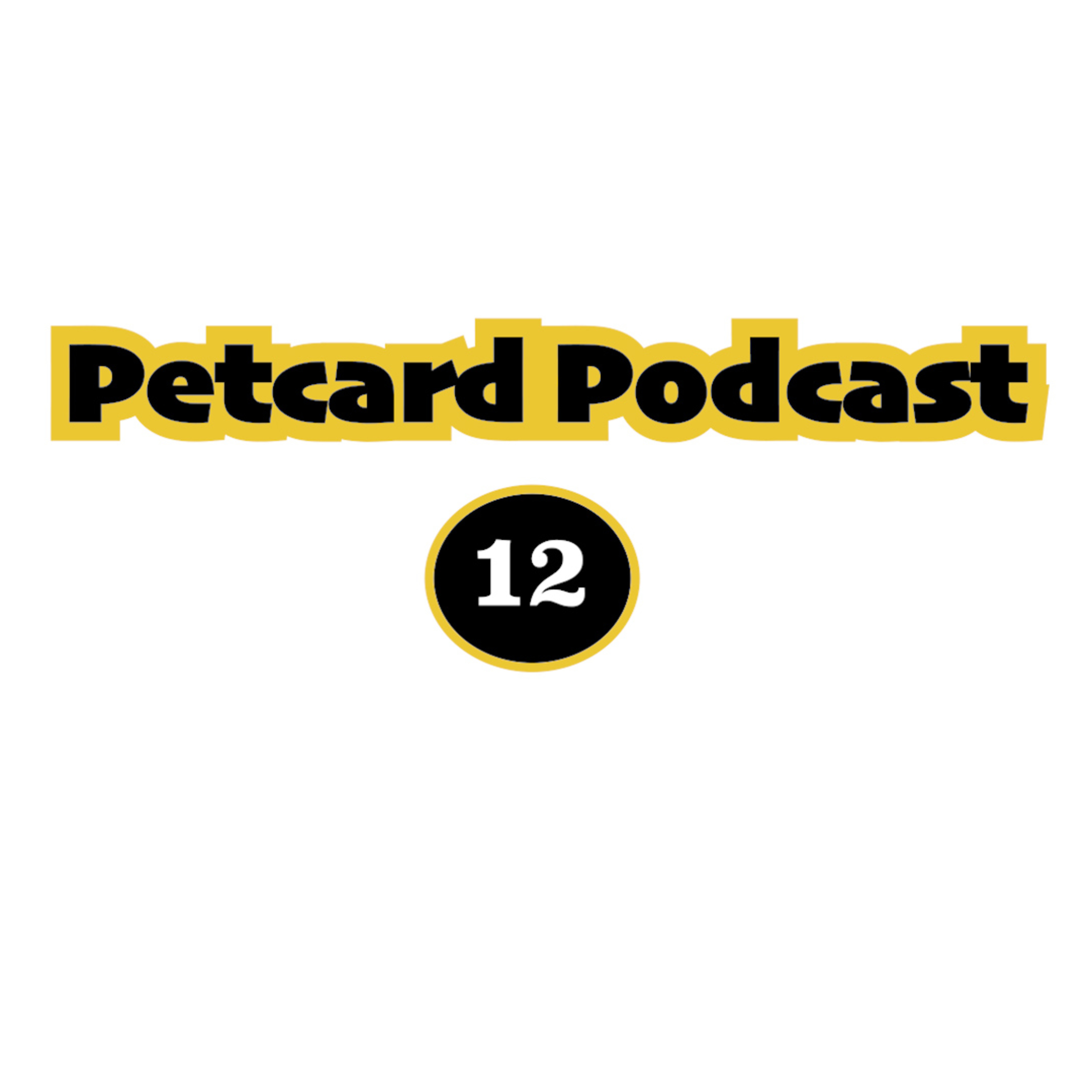 EP12 - Een PetZwaardKaart! episode artwork