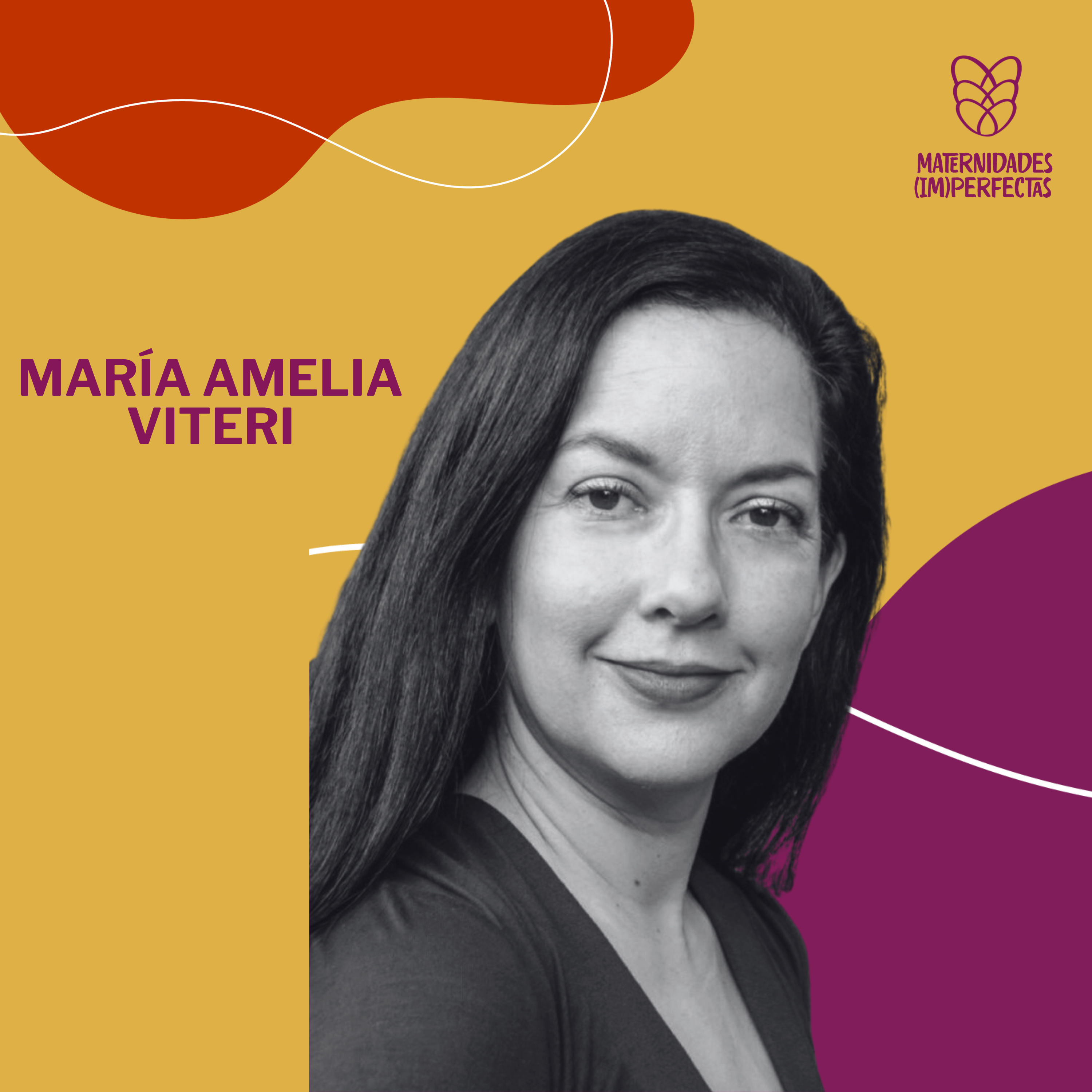 4. Criar sin estereotipos, ni rosas ni celestes- María Amelia Viteri episode artwork