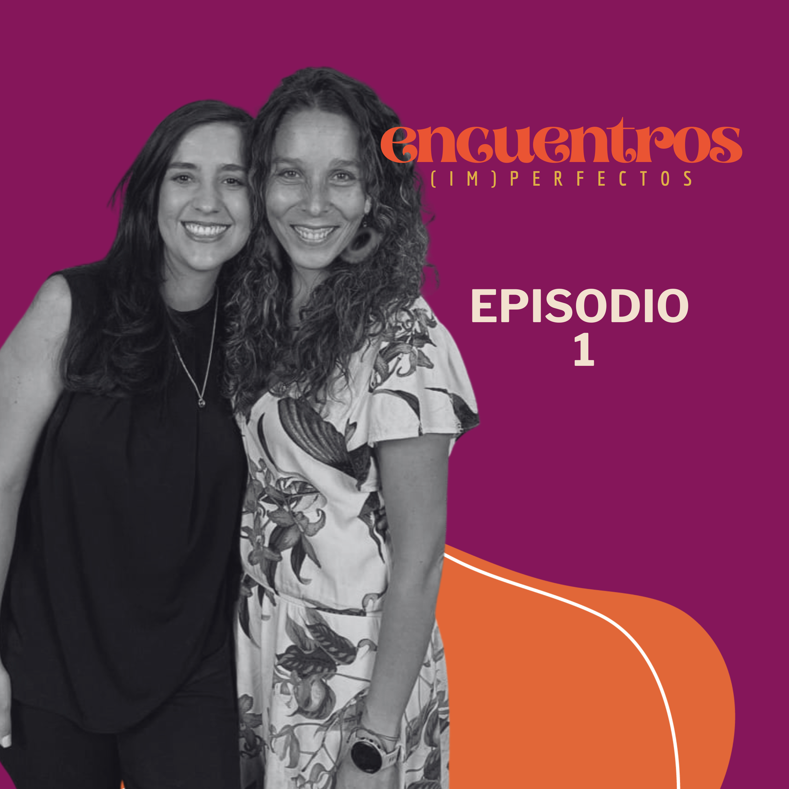 179. Encuentros Imperfectos. Ep 1 ¿Dónde quedó la mujer que había antes de ser mamá? episode artwork