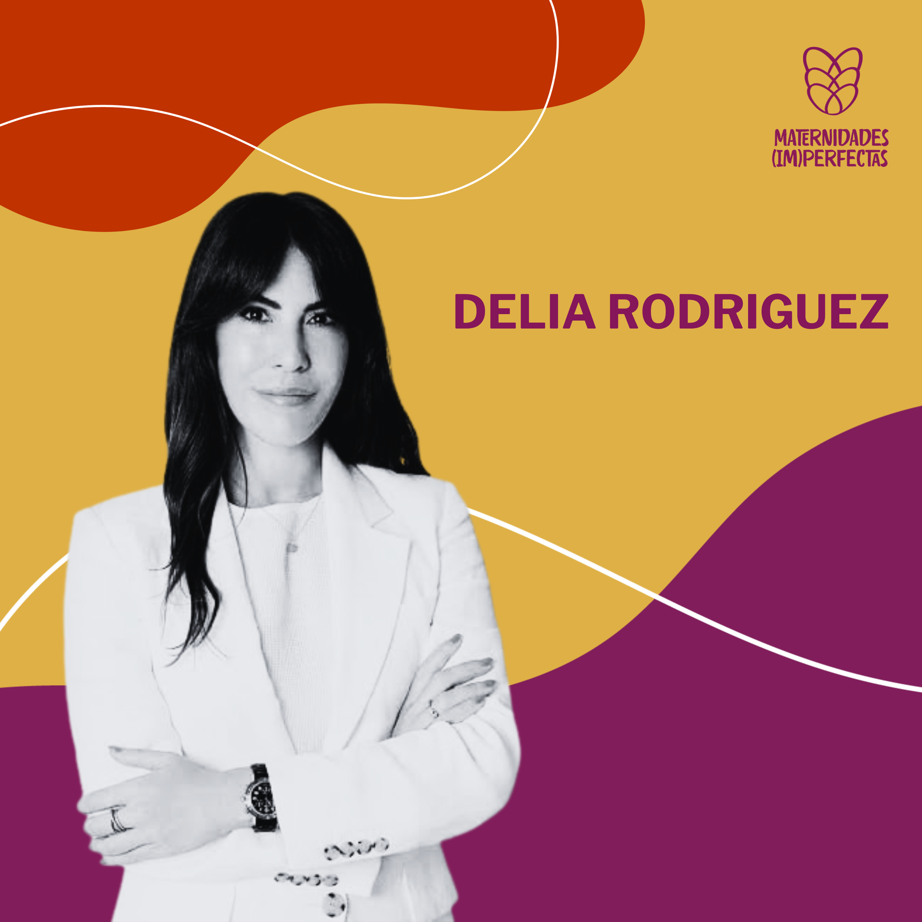 228. Culpa, crianza y separación: una conversación sin familias perfectas- Delia Rodríguez episode artwork
