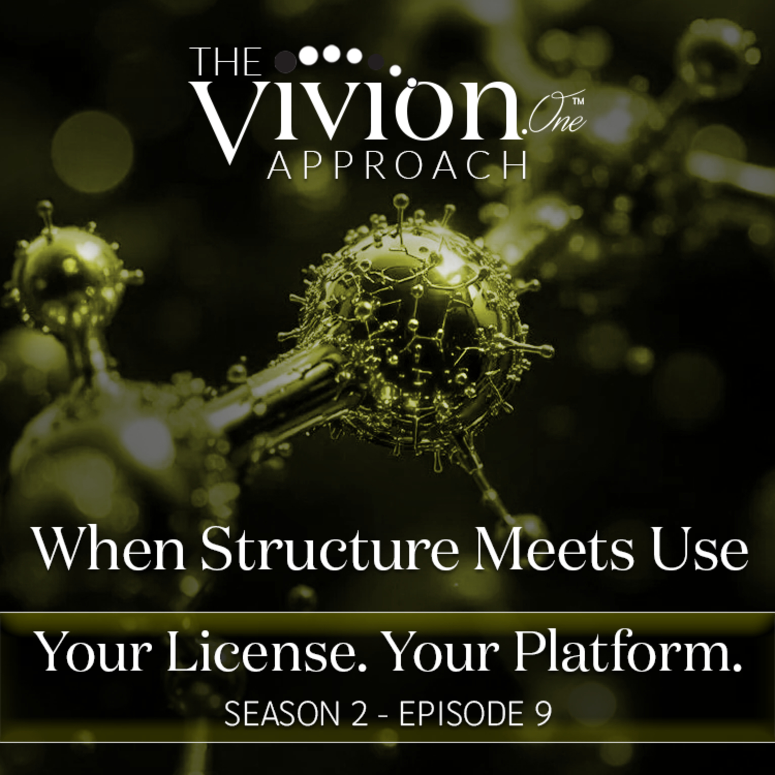 When Structure Meets Use — The Final Check Before Clinical Application episode artwork