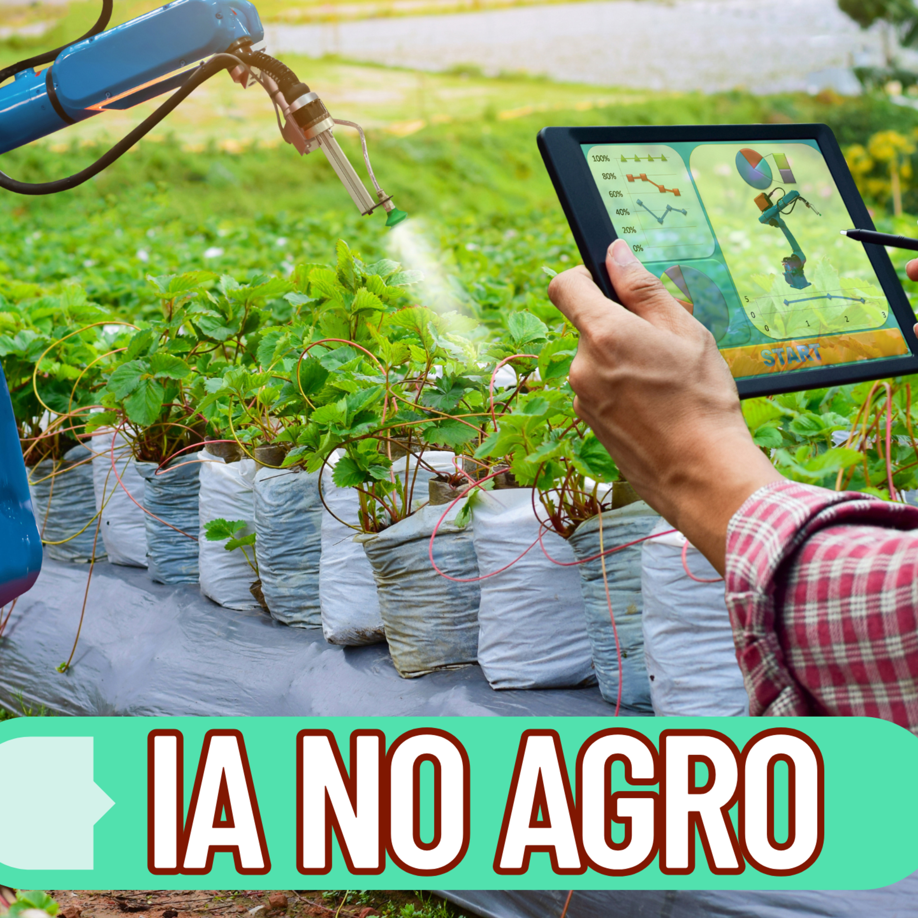 Ecossistema 21: IA, Automação, Tráfego Pago para PMEs. Insights práticos para seu negócio decolar!