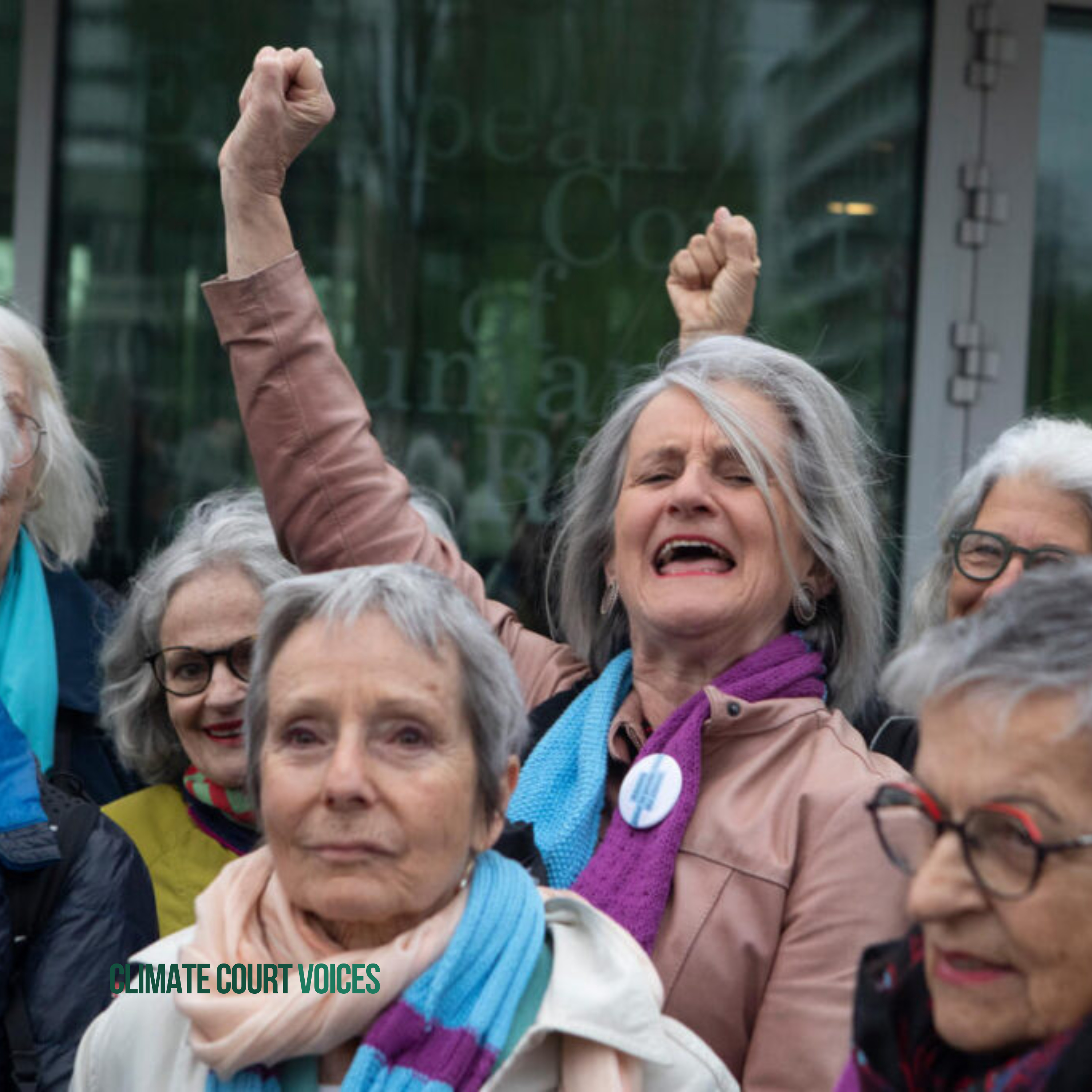 How a group of elderly Swiss women proved that climate protection is a basic human right episode artwork