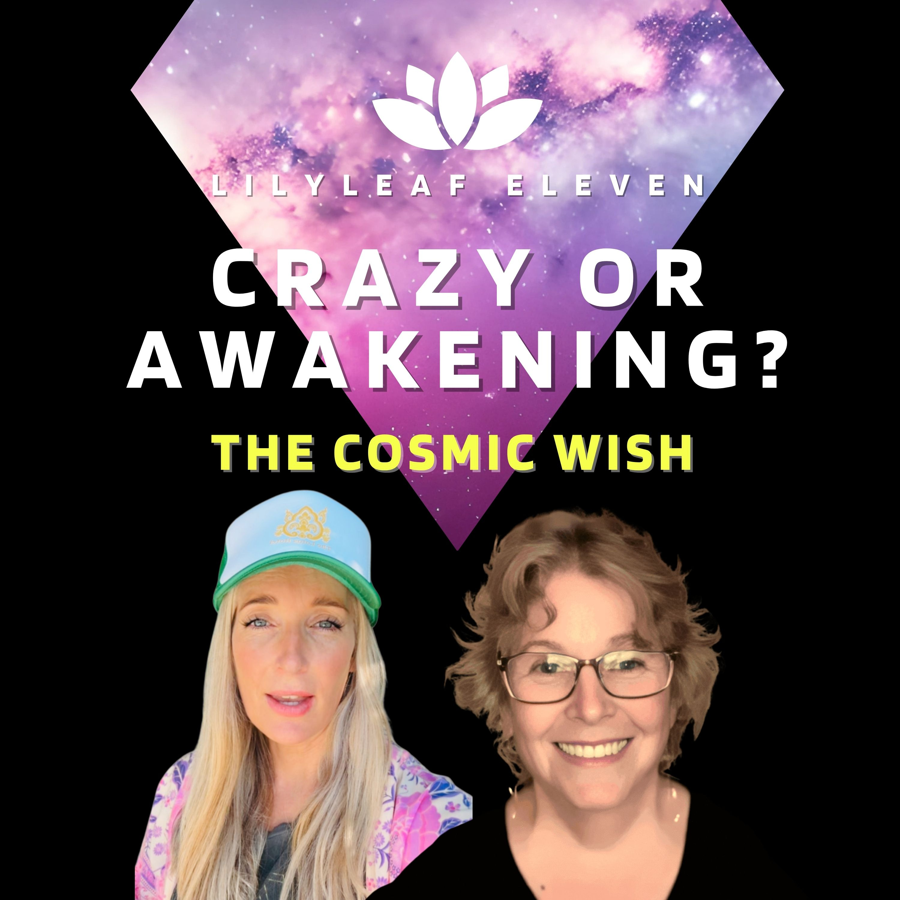 The Cosmic wish- The Science of wishing with Brownell Landrum episode artwork