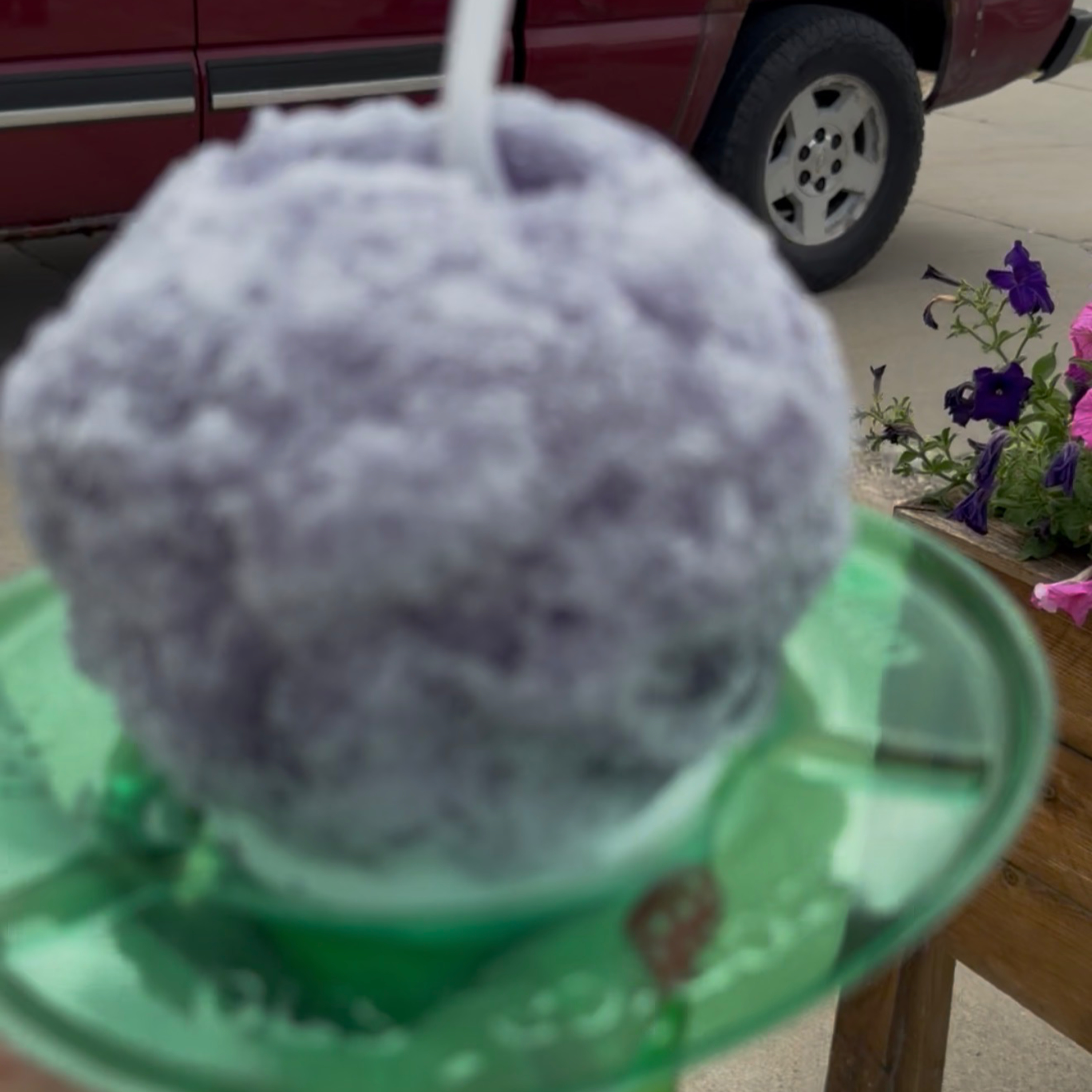 Tropical Sno: A Sweet Surprise I Never Saw Coming