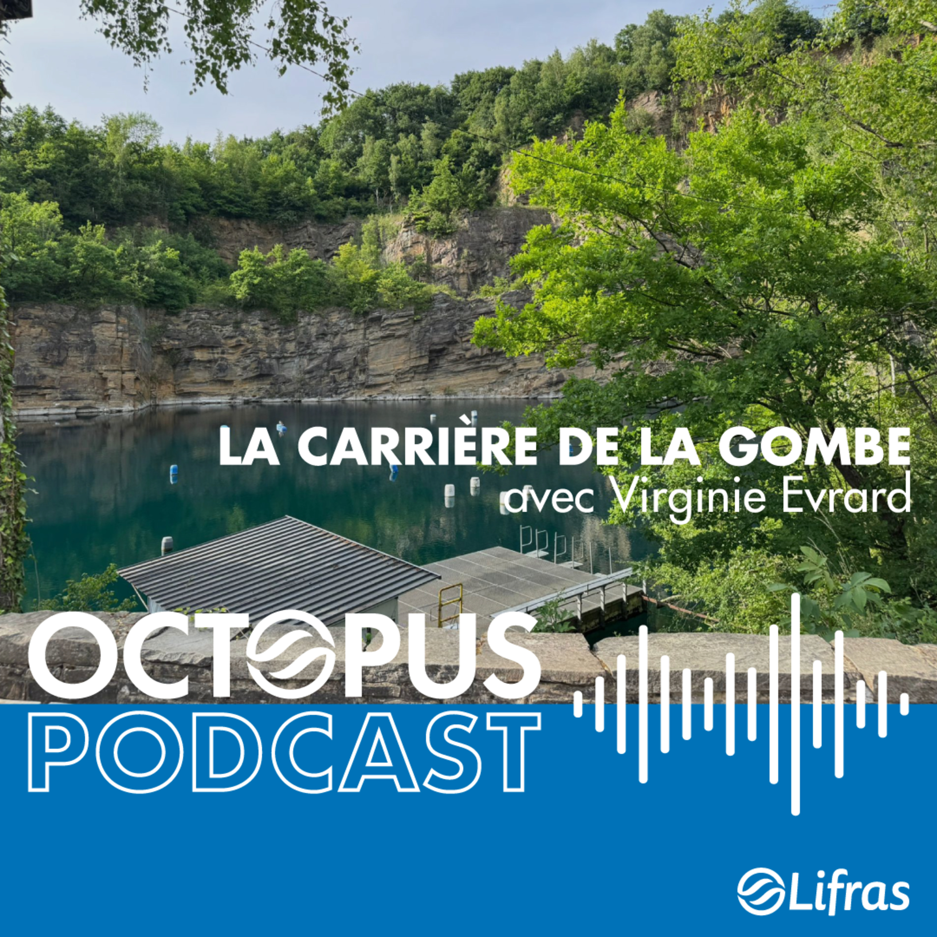 La carrière de La Gombe - avec Virginie Evrard episode artwork