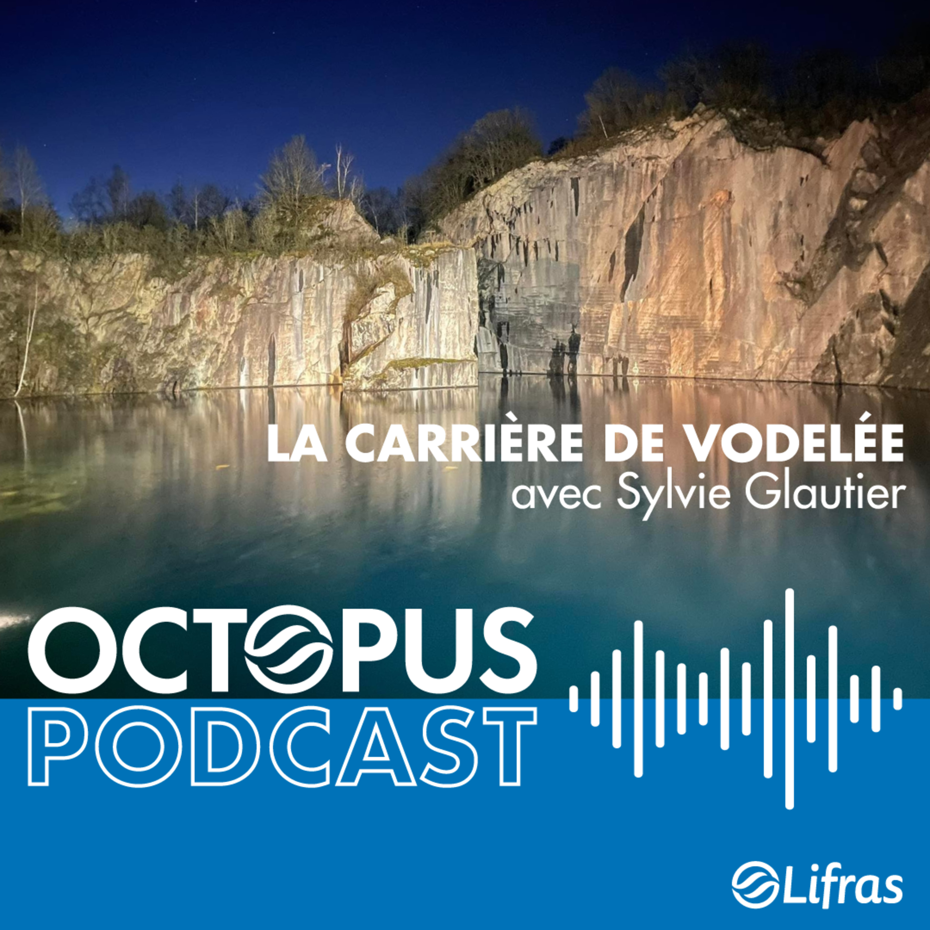 La carrière de Vodelée - avec Sylvie Glautier episode artwork