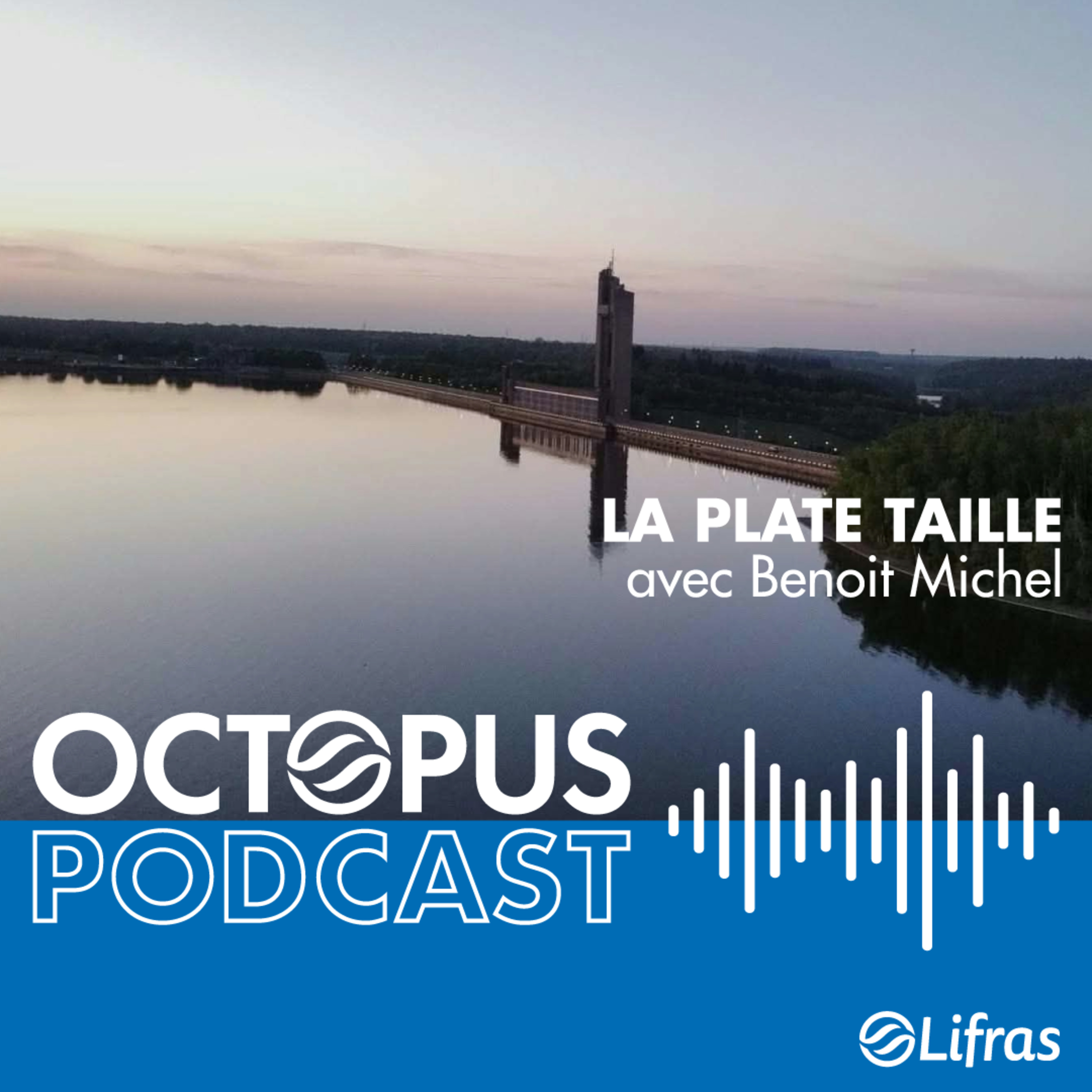 La Plate Taille - avec Benoit Michel episode artwork