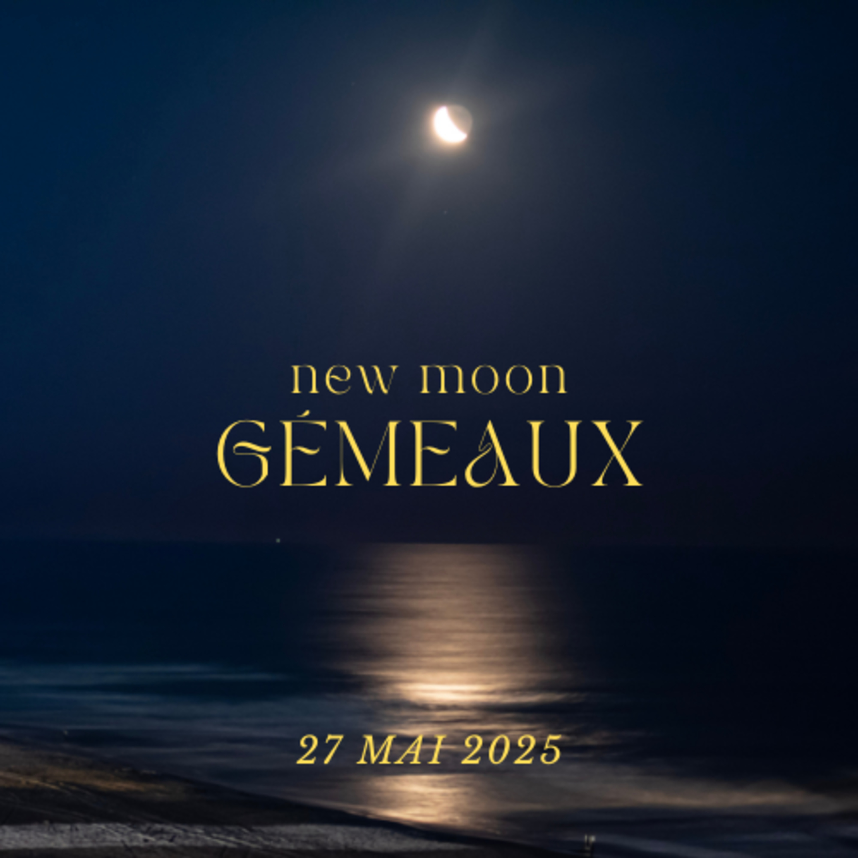 Le café des Saisons