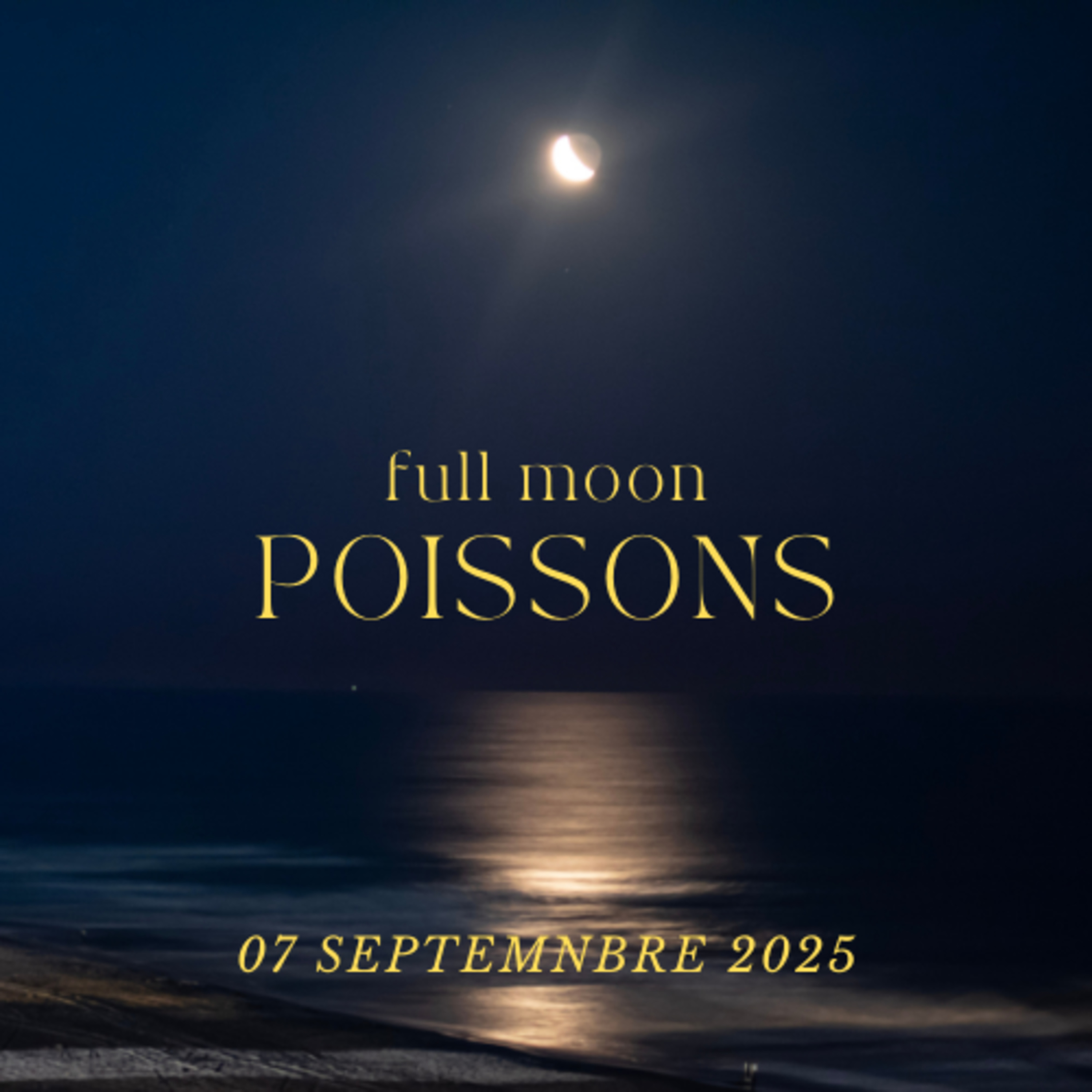 Le café des Saisons