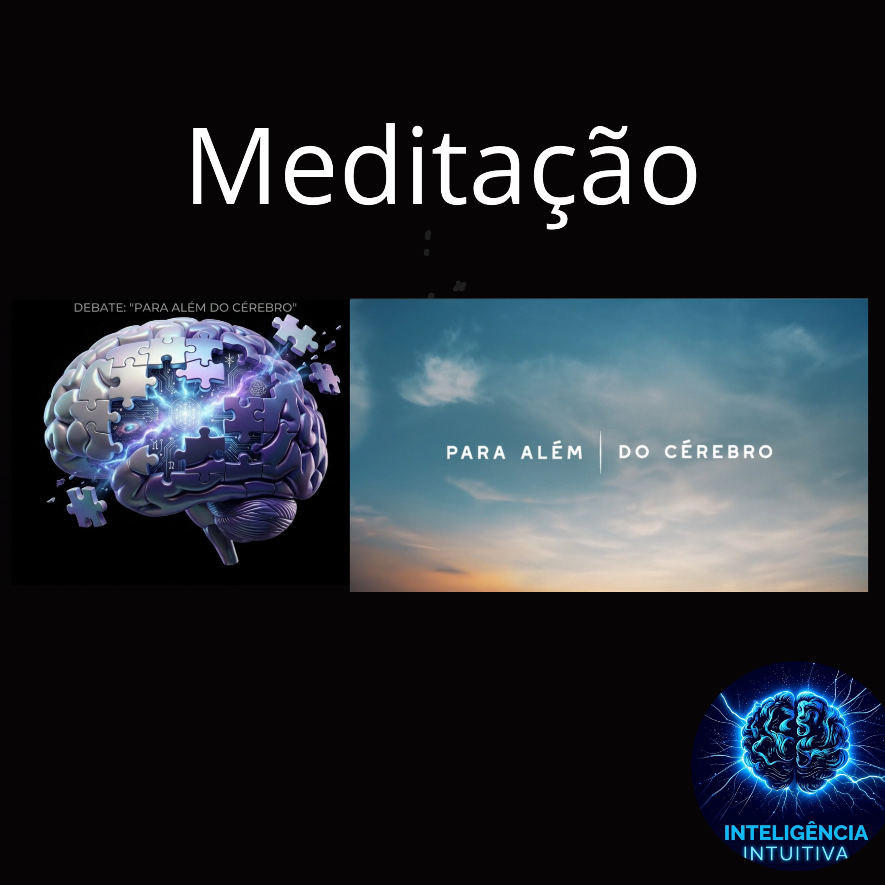 T2 | Ep. 14: Debate - Série Para Além do Cérebro: Meditação - Cura o Stress ou Desperta a Consciência? episode artwork