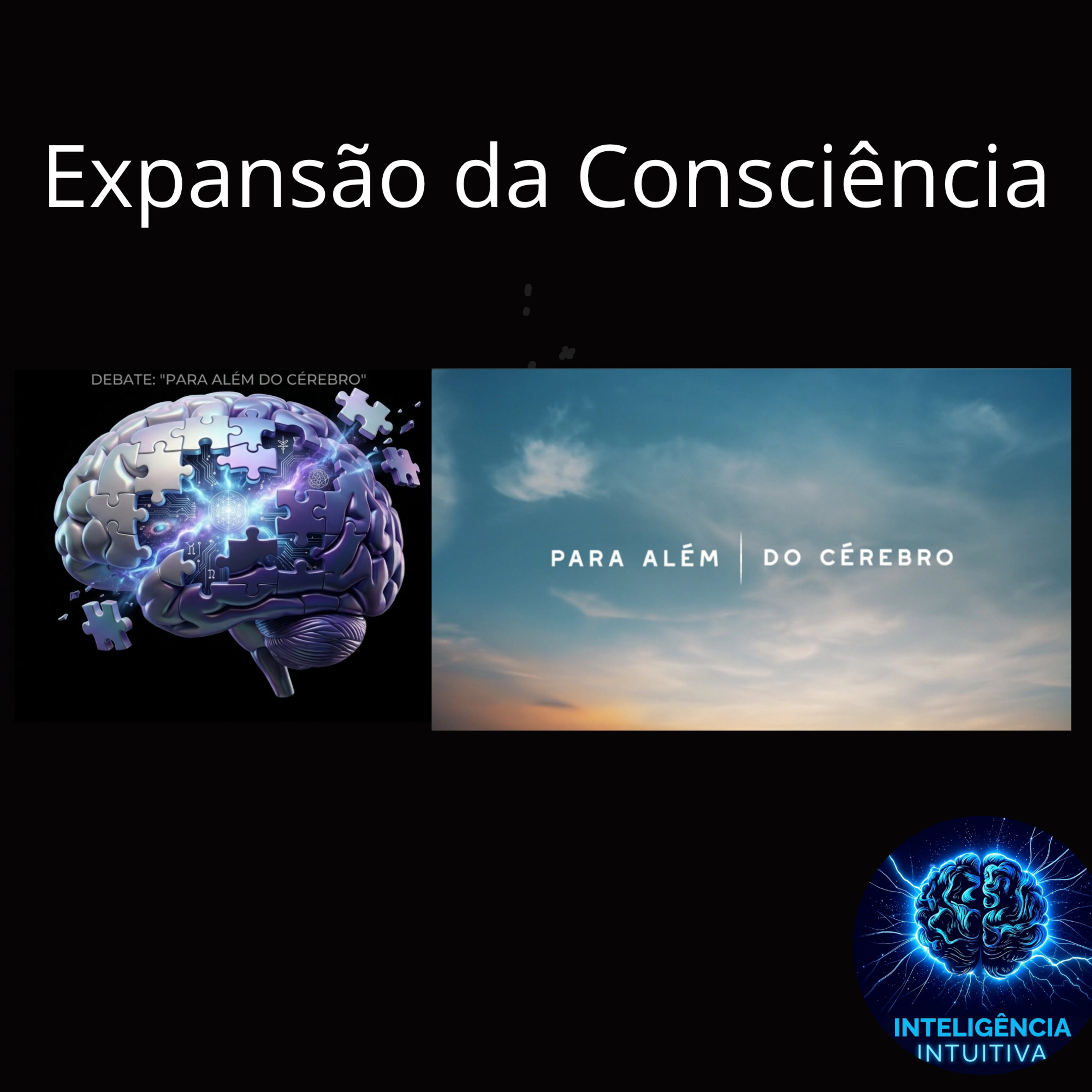 T2 | Ep. 15: Debate - Série Para Além do Cérebro: Expansão da Consciência - O Cérebro Pode Aceder ao Futuro? episode artwork