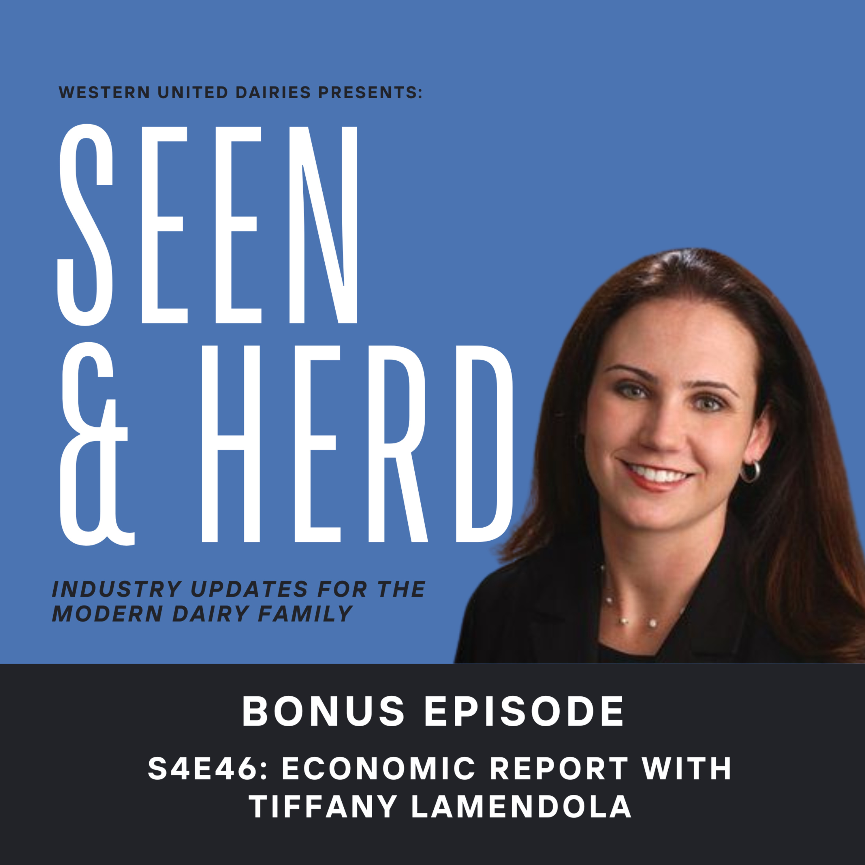 S4E46: Bonus Episode - In-Depth Market Update with Tiffany LaMendola episode artwork