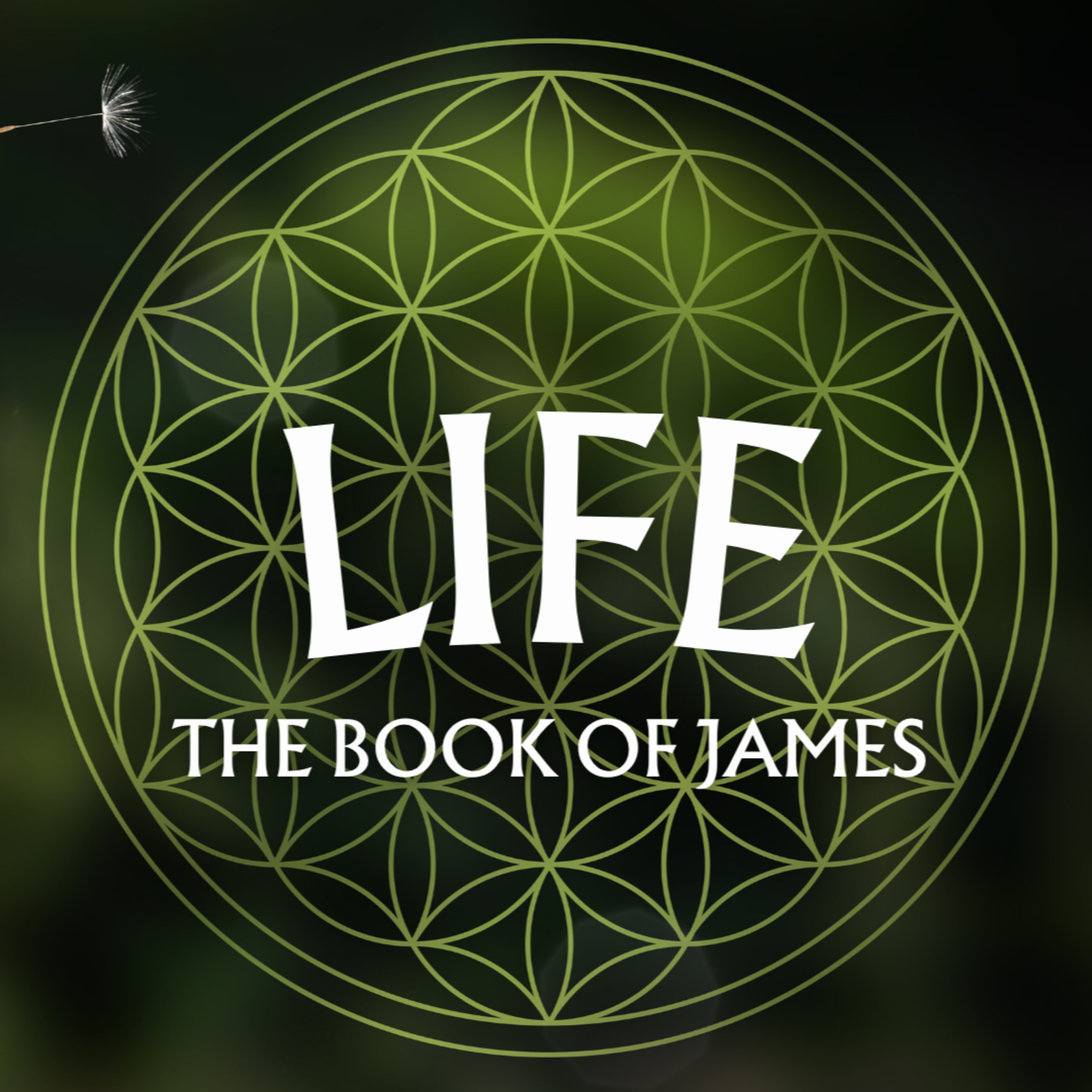James 1 episode artwork