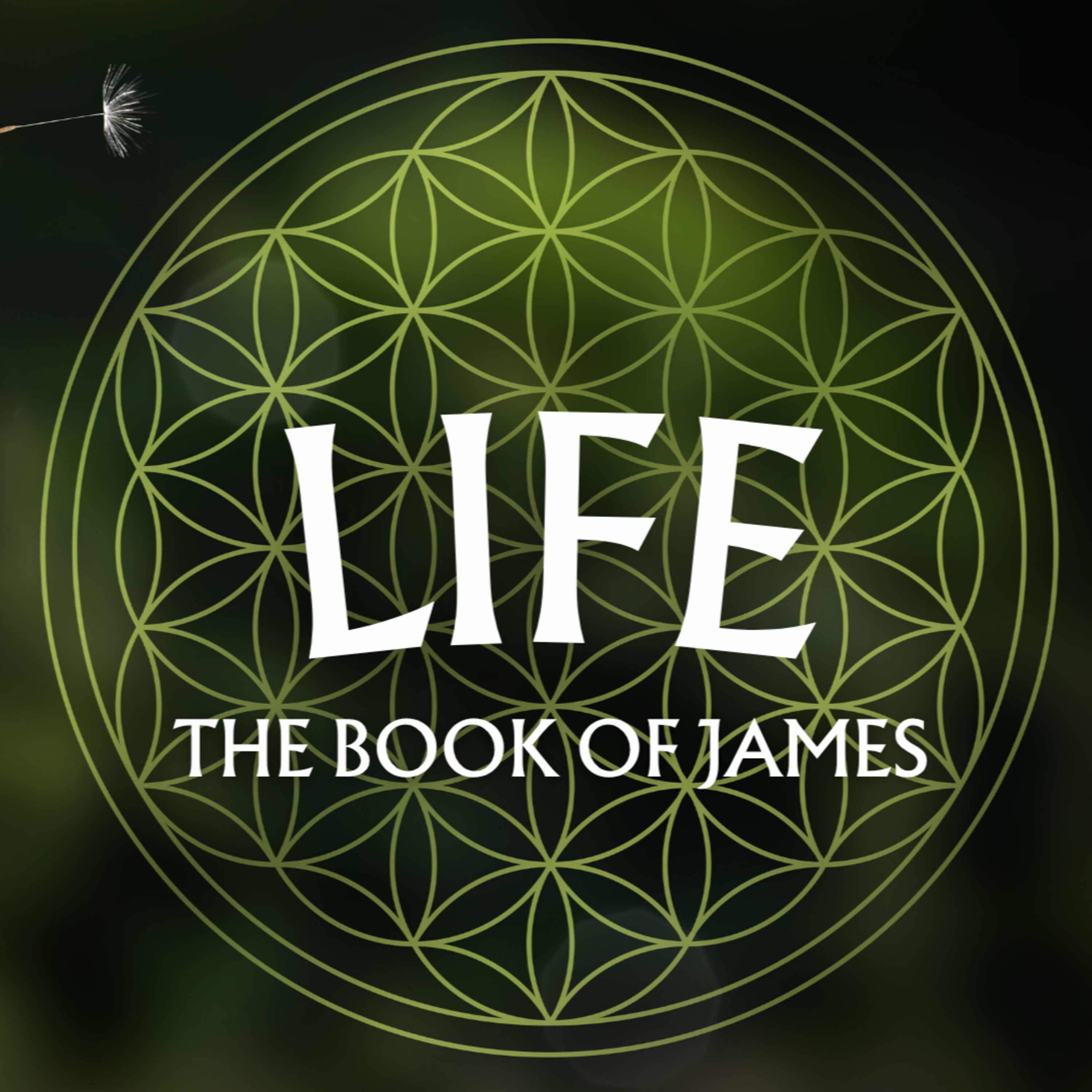 James 3 episode artwork