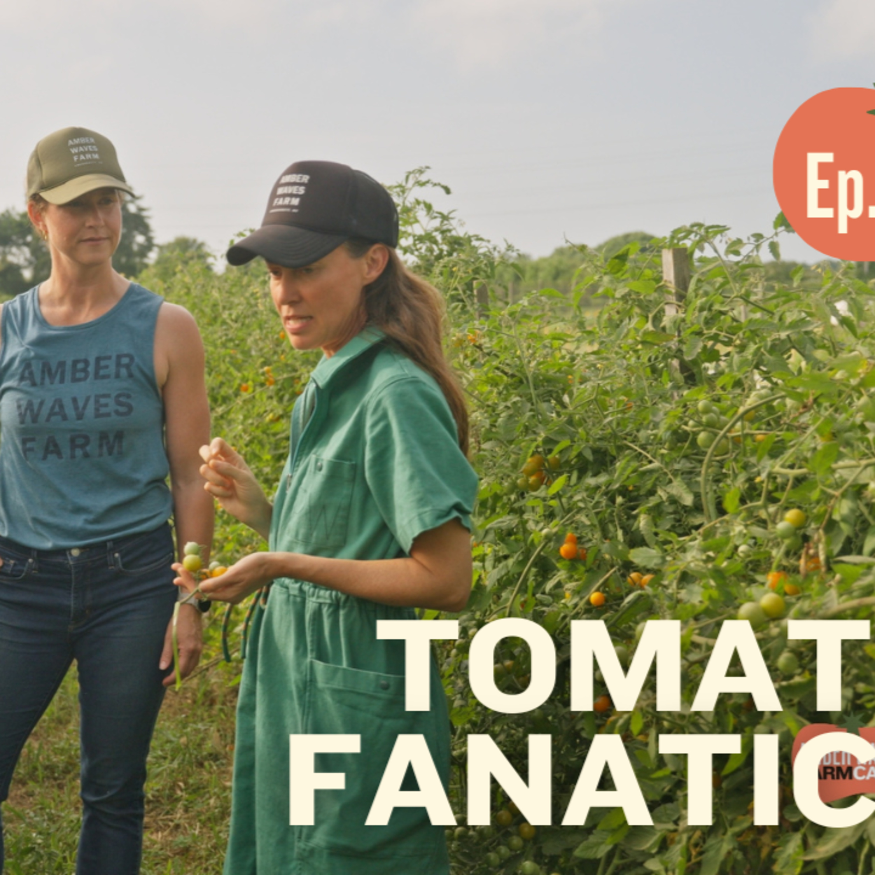 EP 05 Why We Grow 50 Types of Tomatoes episode artwork