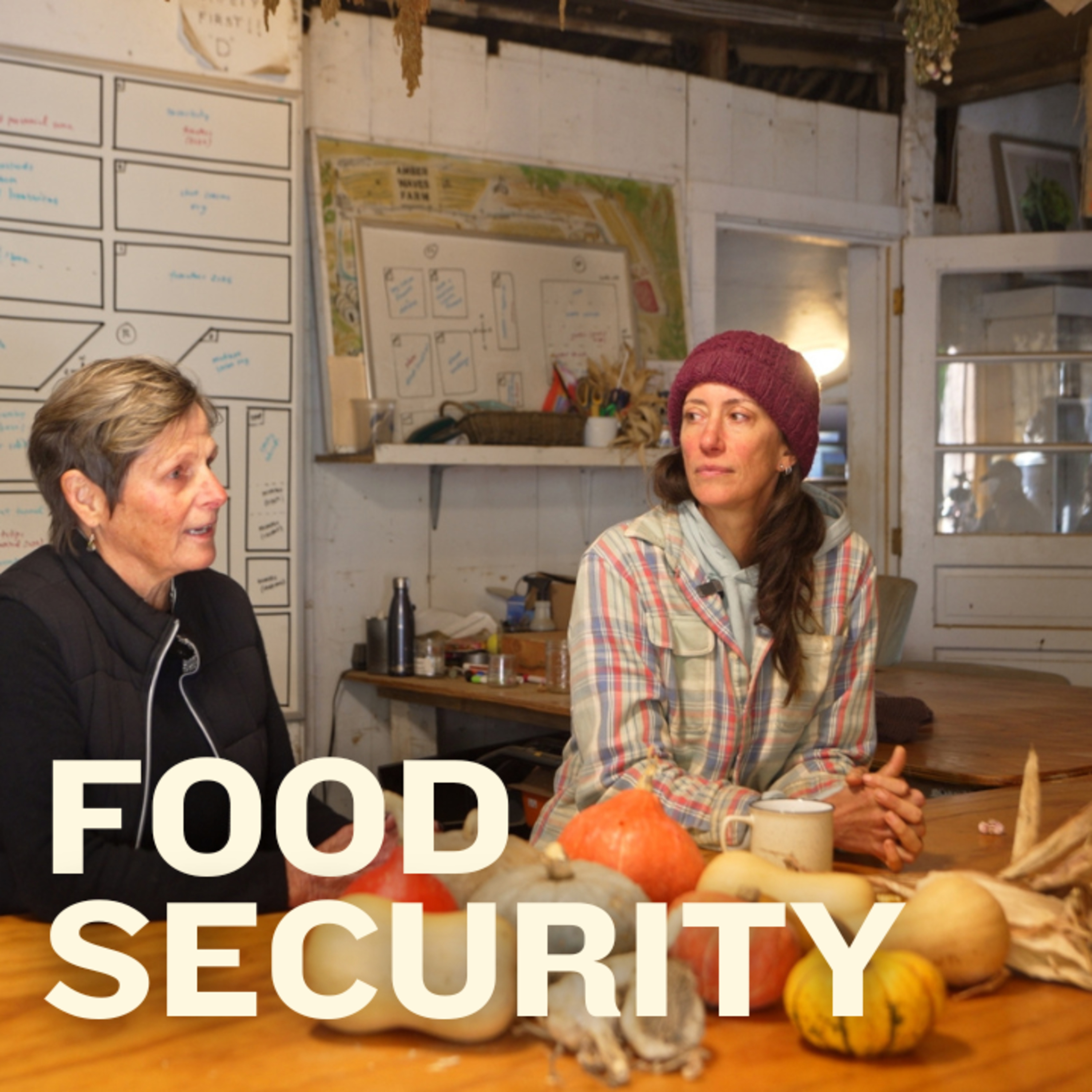 EP14 How we are tackling food insecurity together with Springs Food Pantry episode artwork
