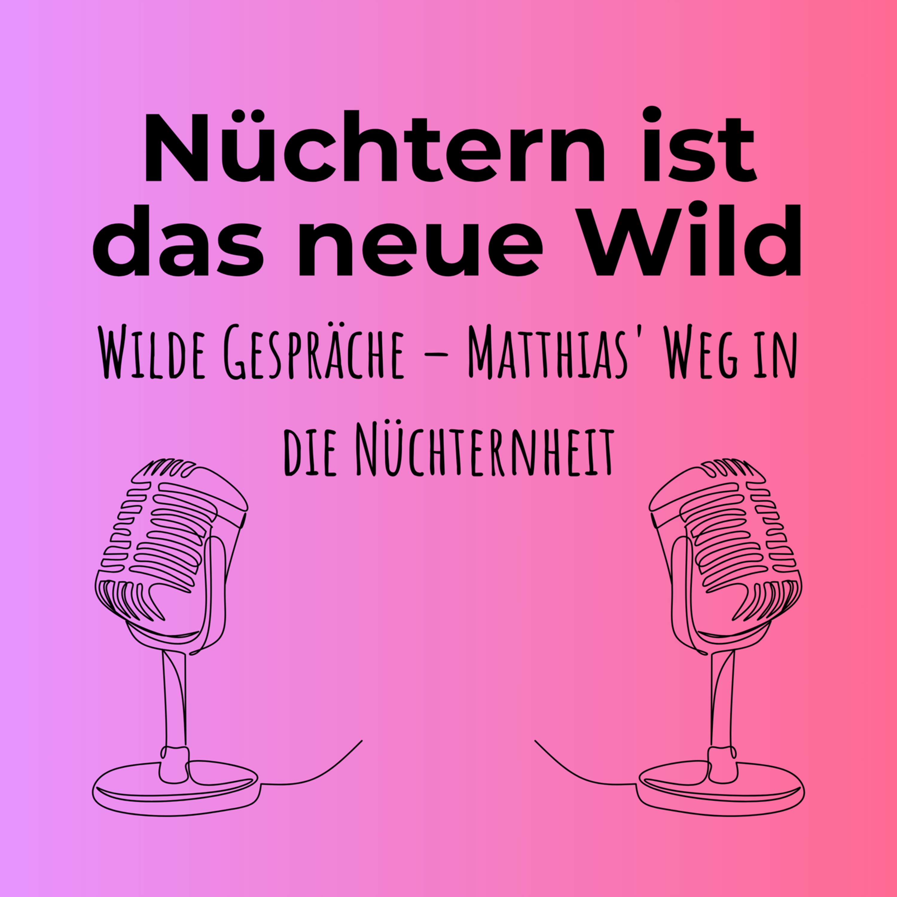 Wilde Gespräche #2 – Matthias' erster nüchterner Monat episode artwork