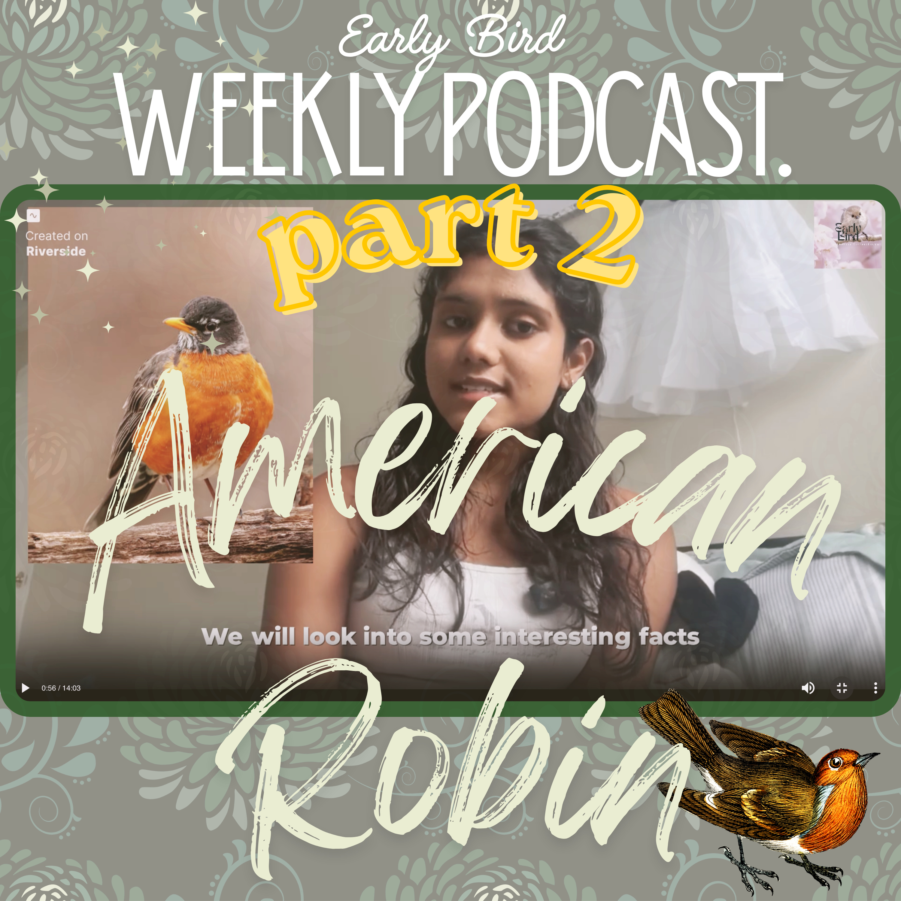 American Robin part 2 episode artwork