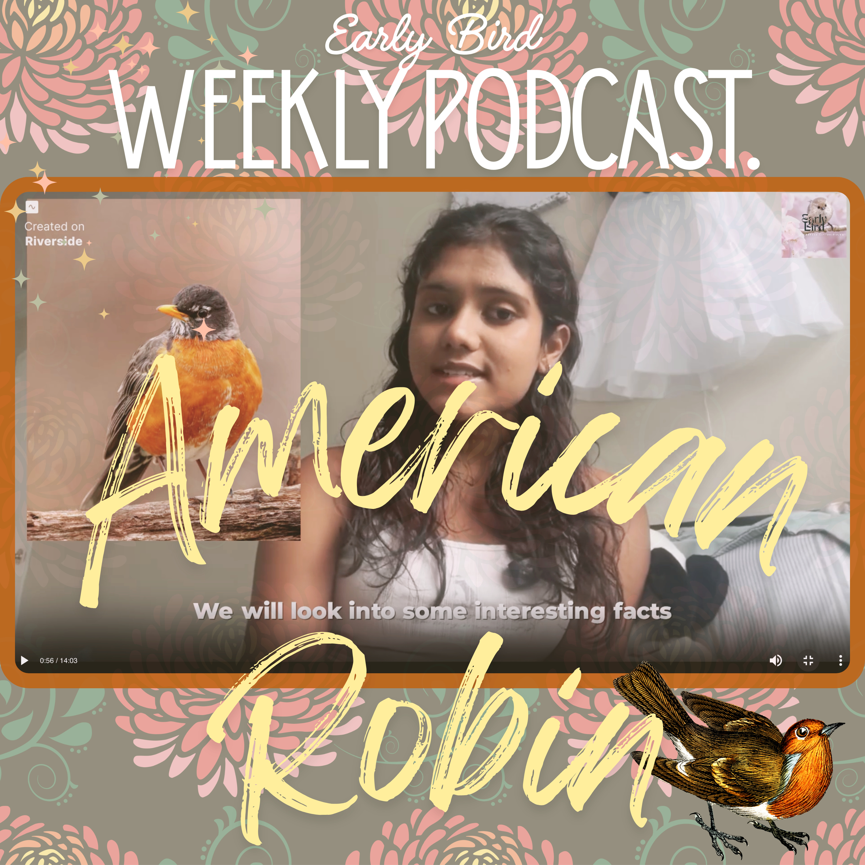 American Robin part 1 episode artwork