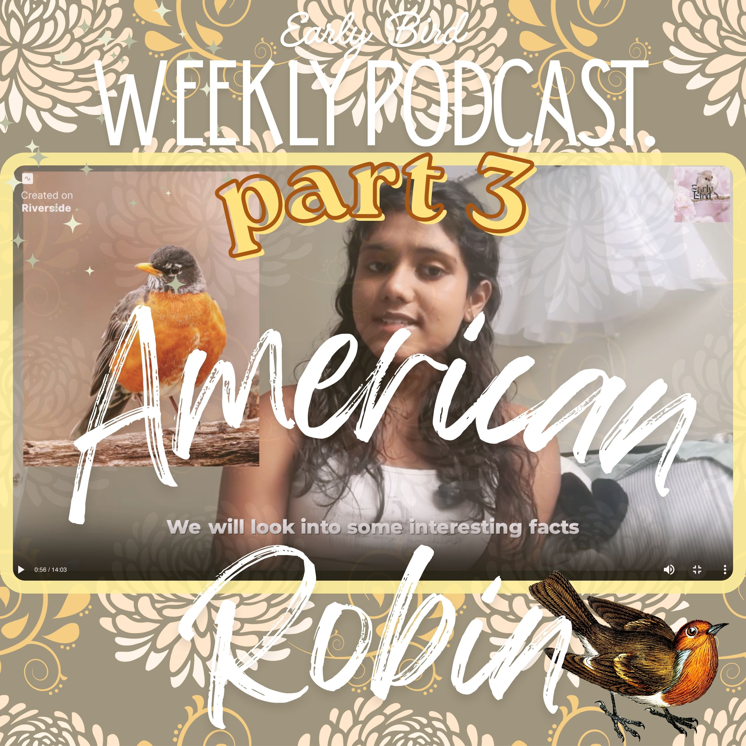 American Robin part 3 episode artwork