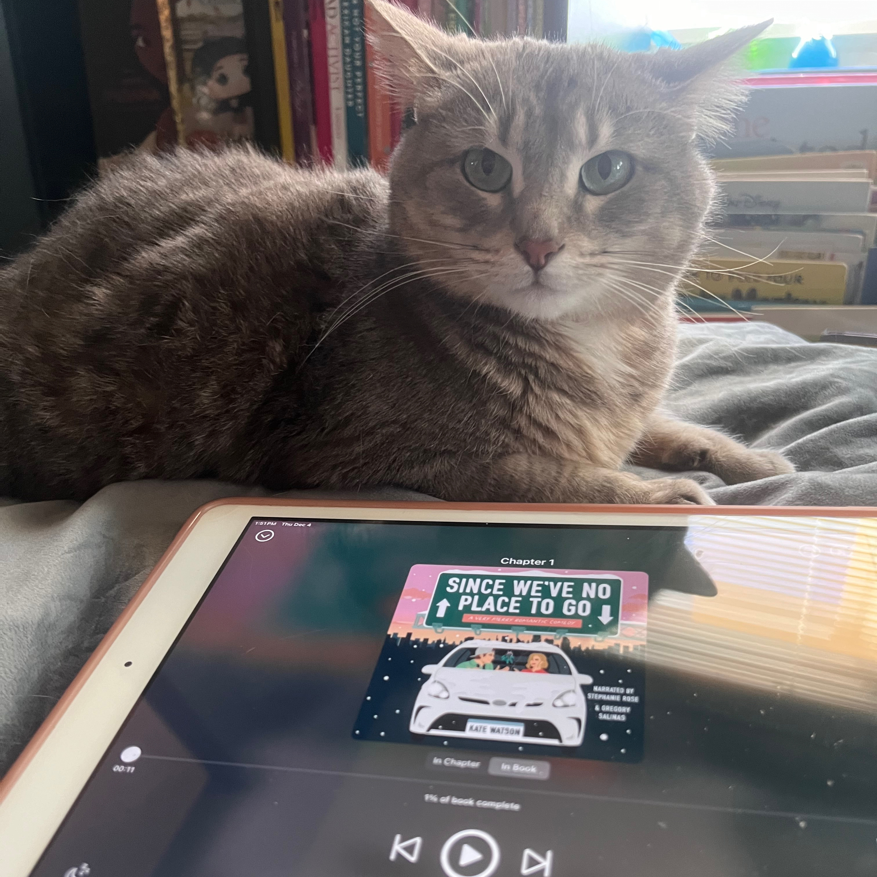 Princess Ali’s Book Club