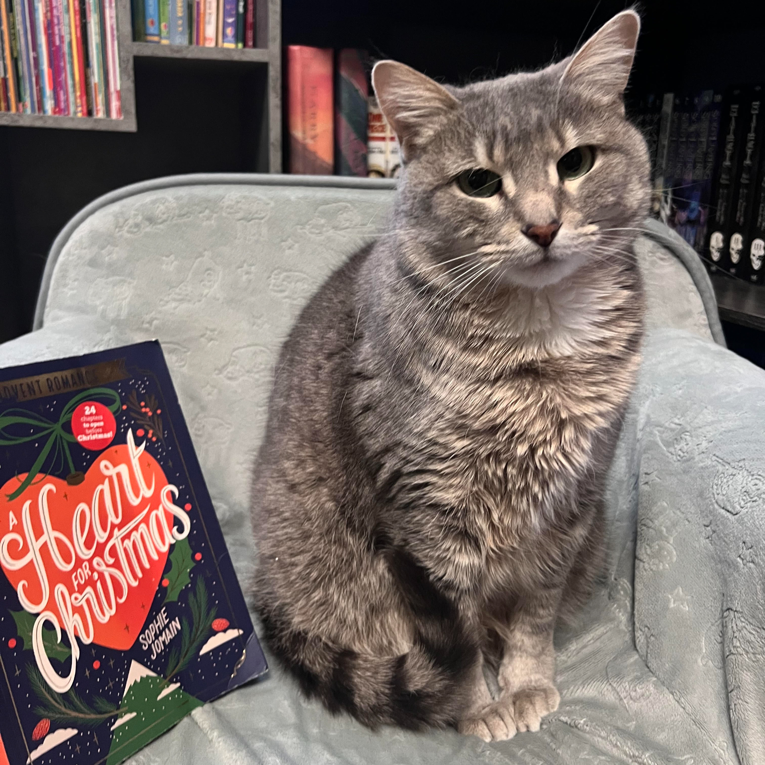 Princess Ali’s Book Club