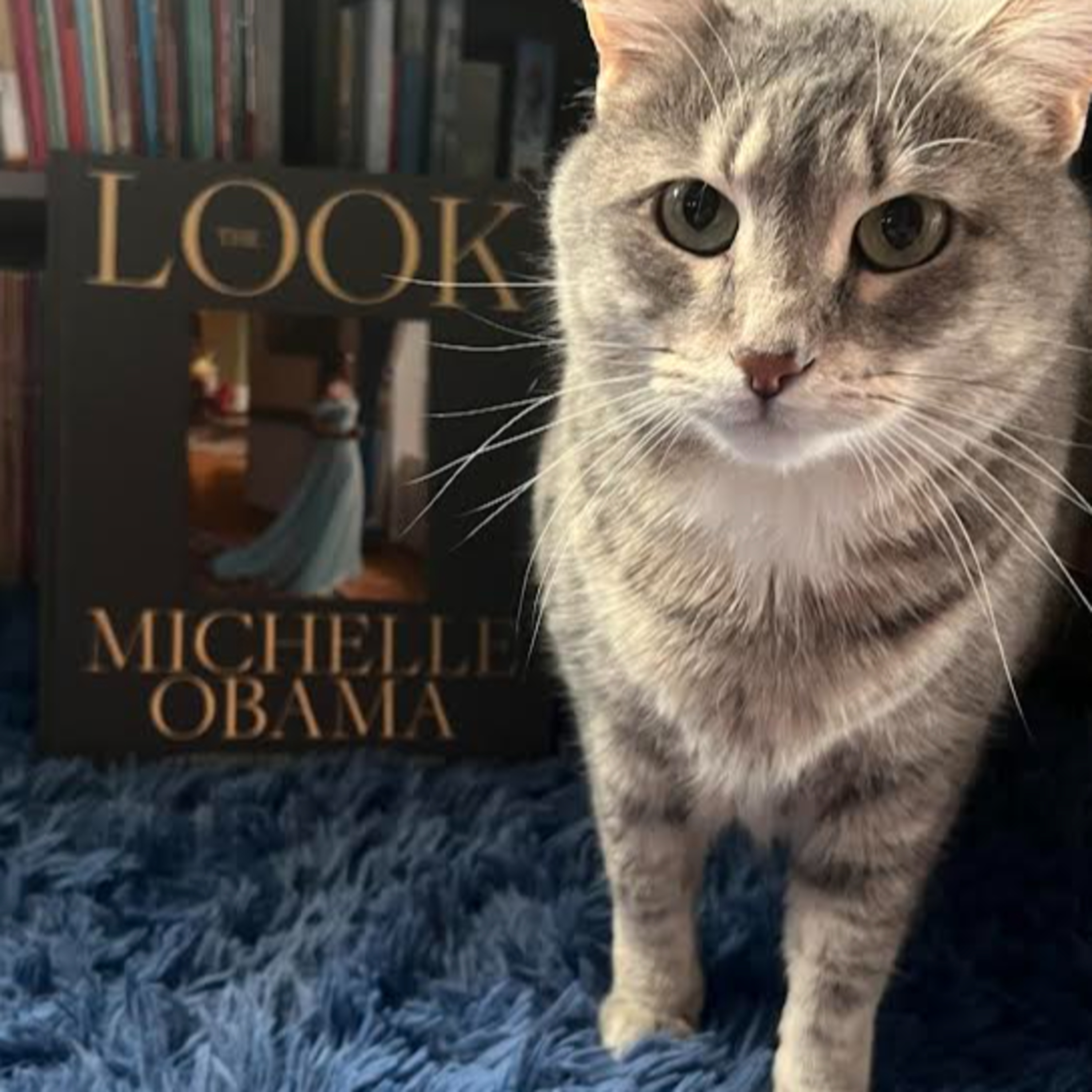 The Look
