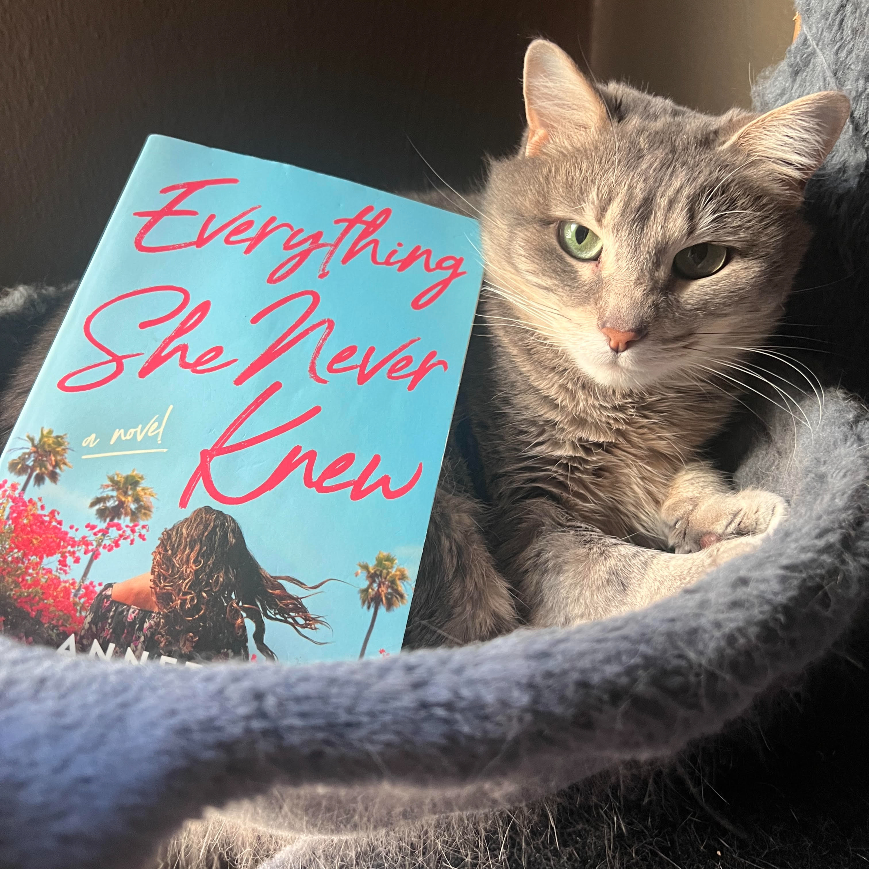 Reading Crew Reads Everything She Never Knew 