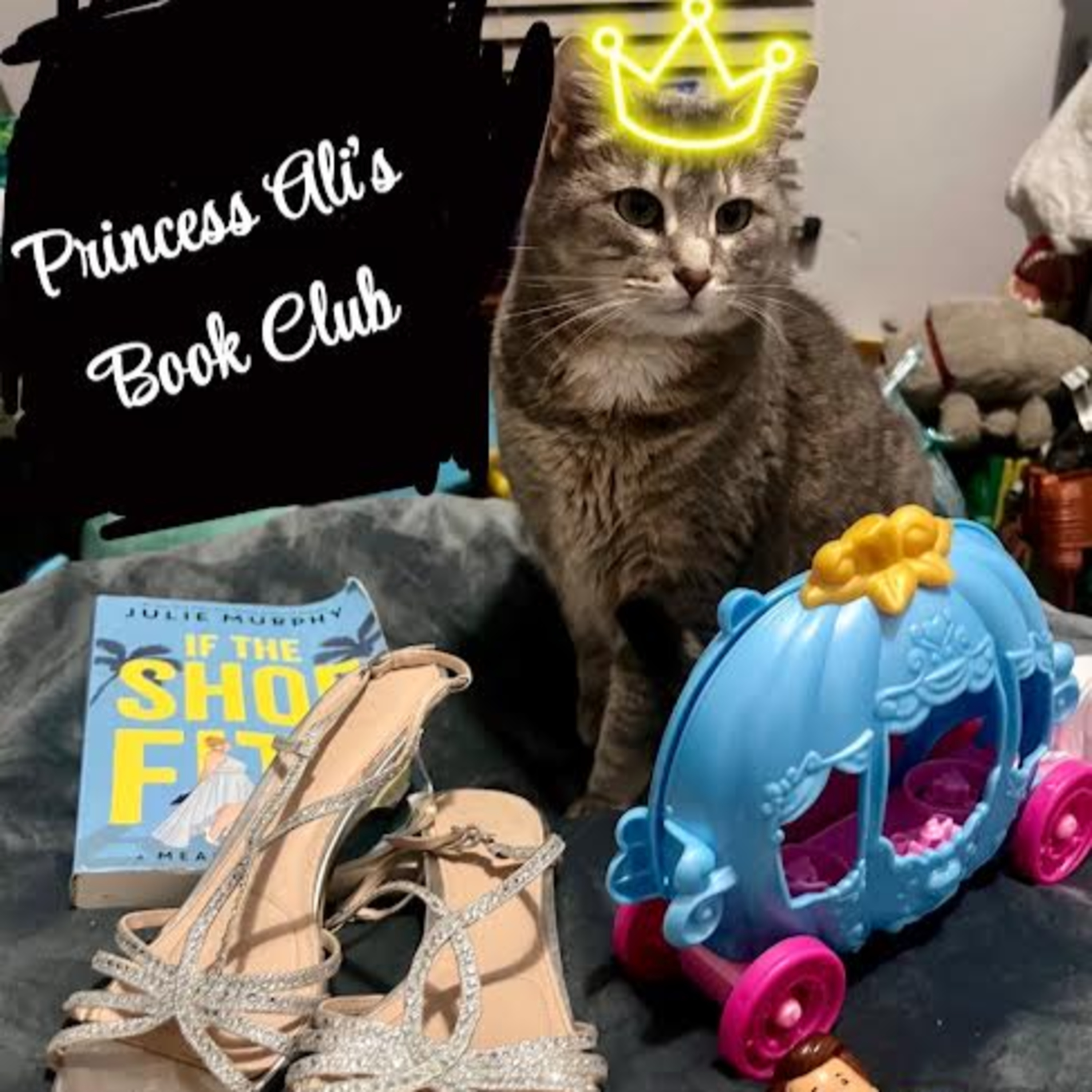 If the Shoe Fits episode artwork