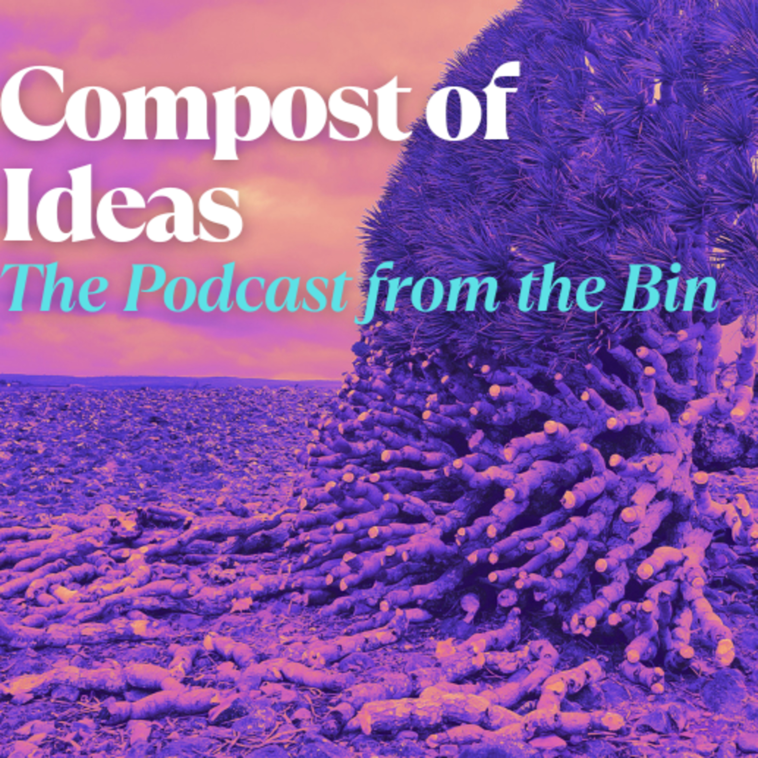 SPECIAL: A Story from Socotra - Seeds, Sand, and a Desert Disco episode artwork