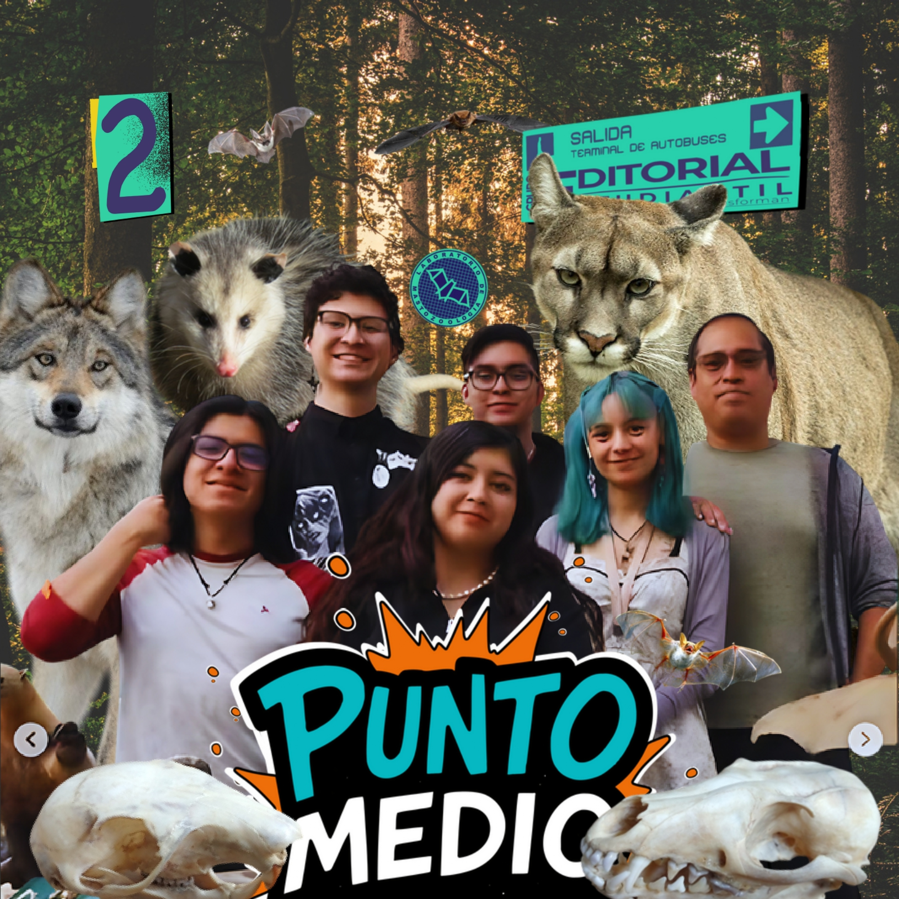 T2. Ep2: Antes, todo esto era monte episode artwork