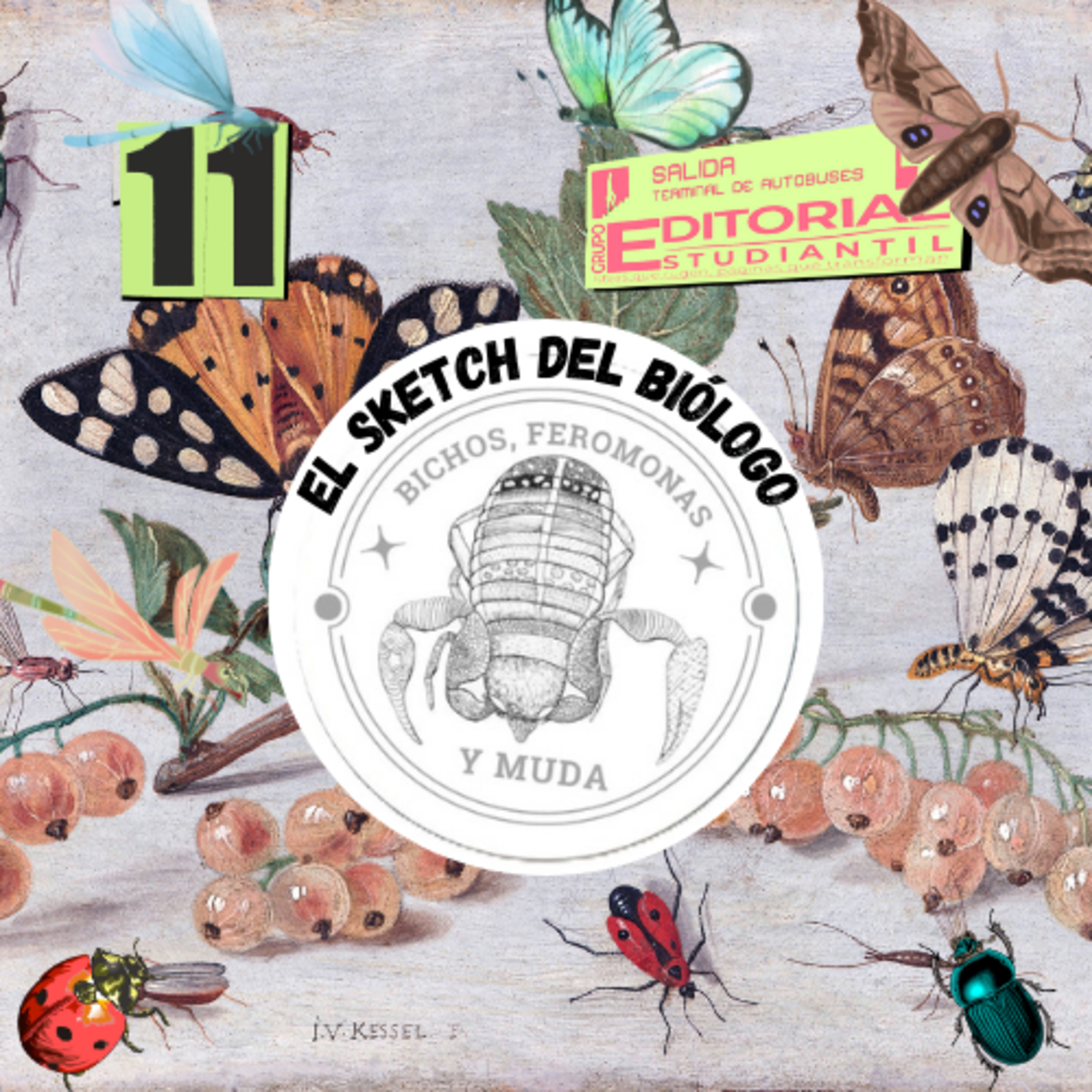 T2. Ep11: ¿Arte inútil? El dibujo que la biología sí necesita episode artwork